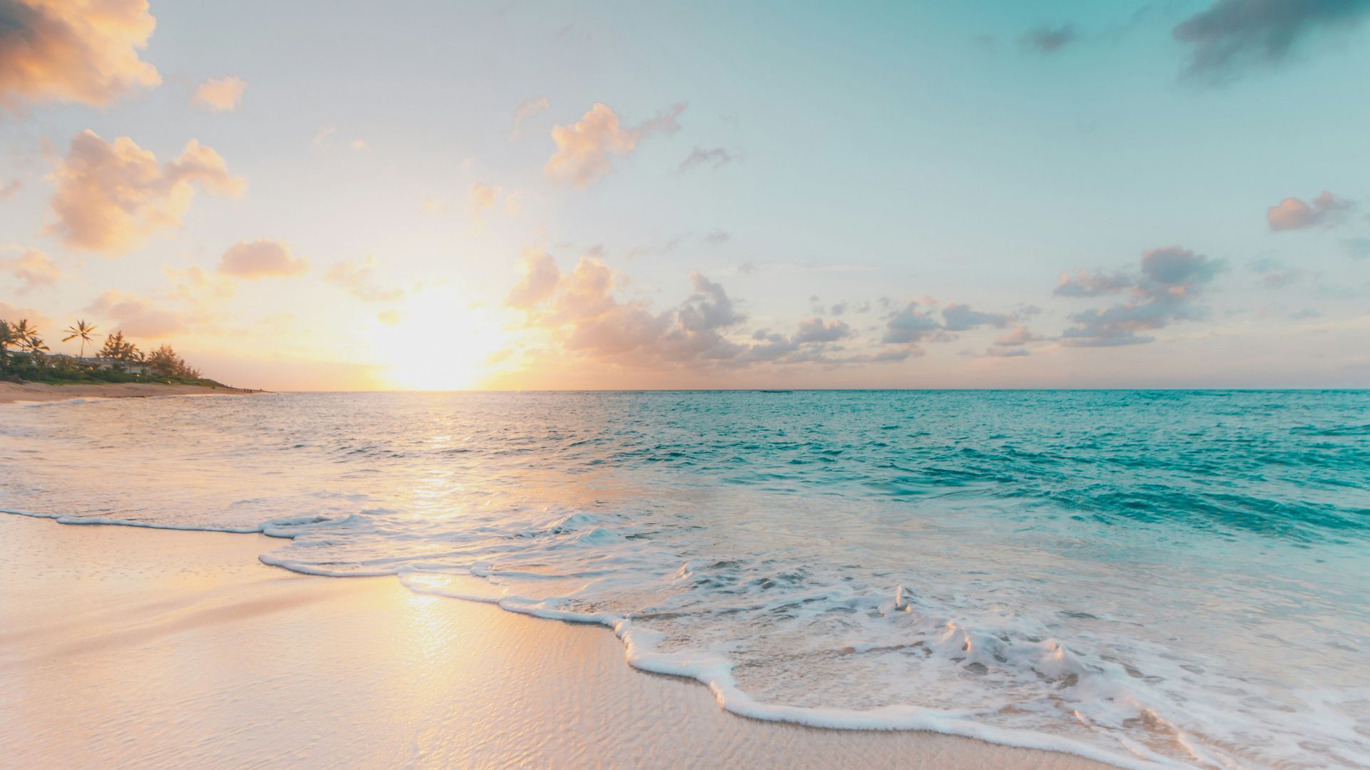seashore during golden hour
