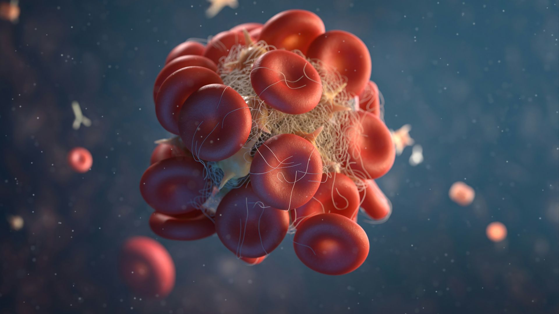 a red blood cell in a blood vessel