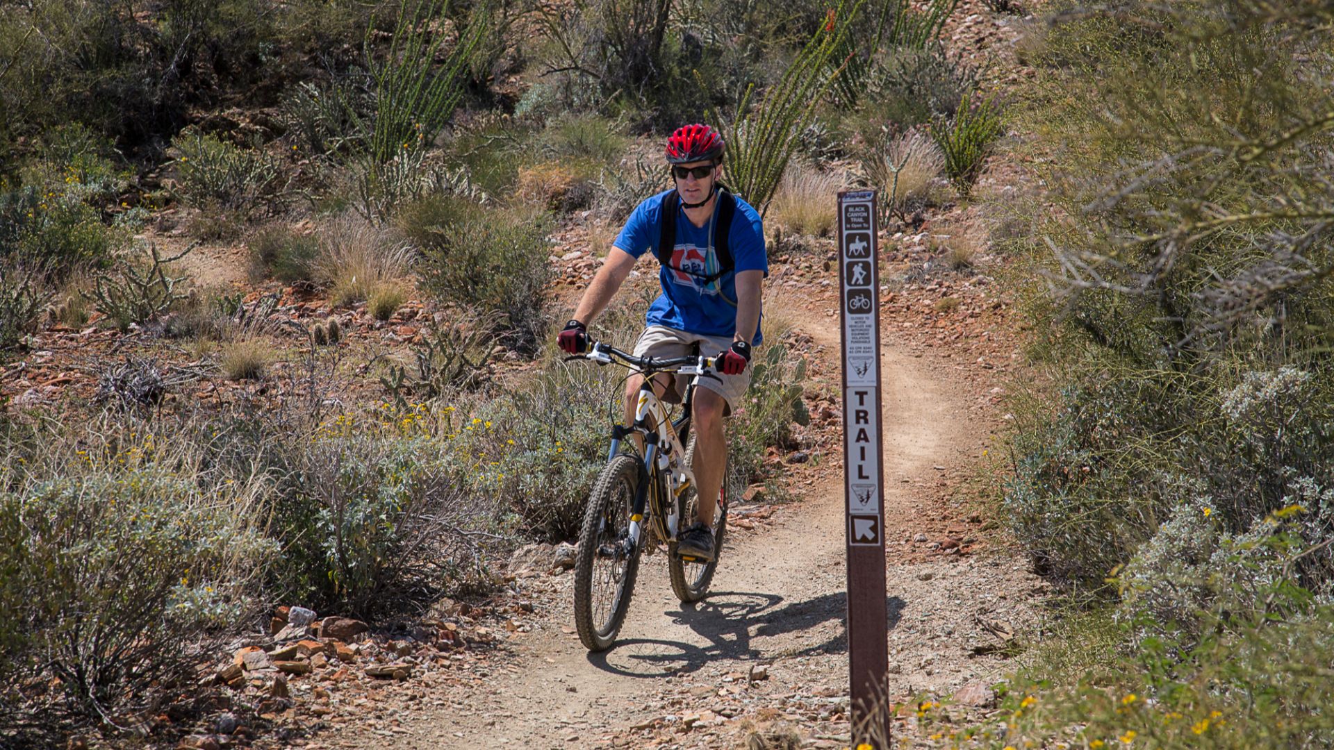 File:Biking along the Black Mountain Trail (26424818930).jpg