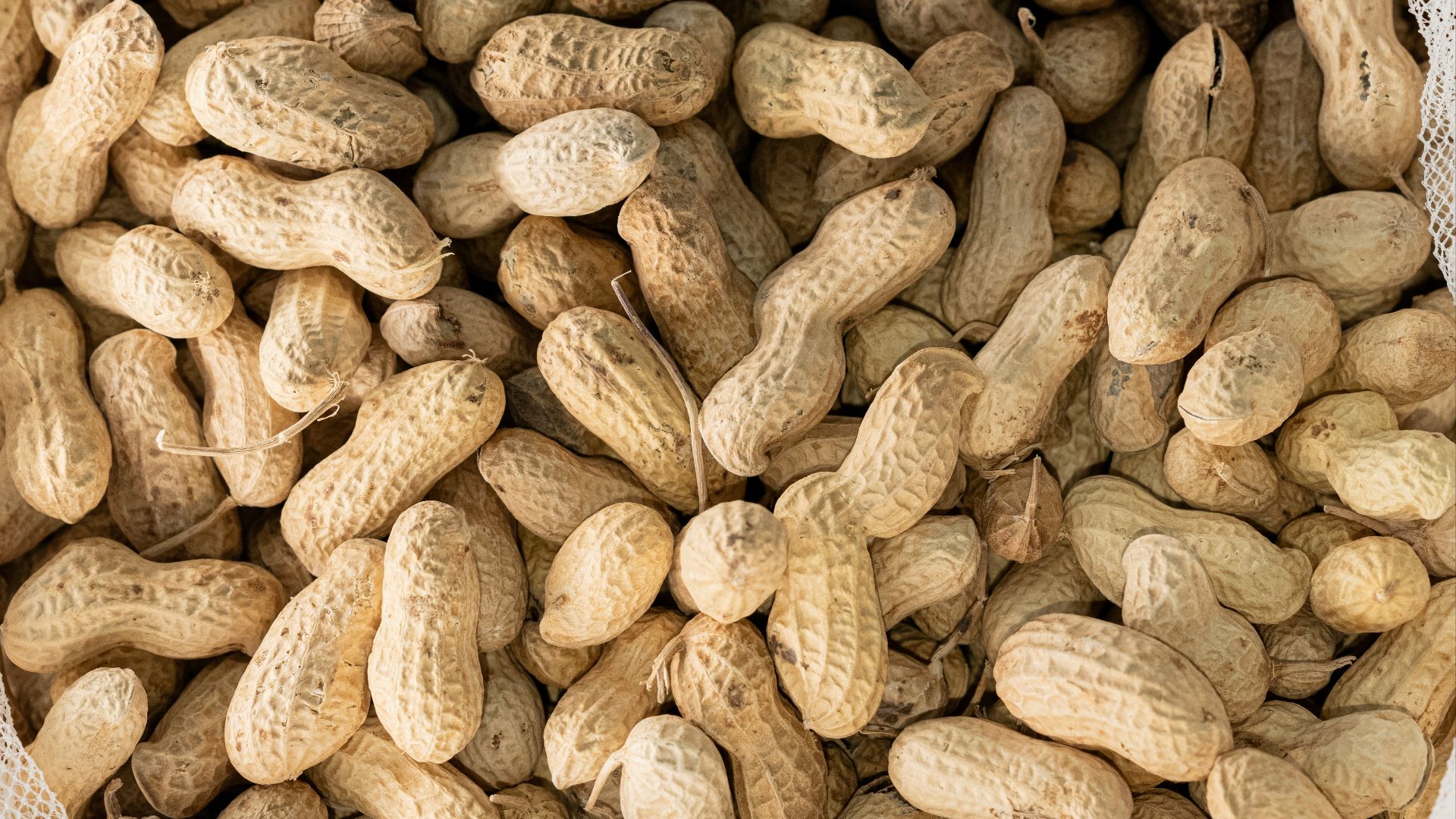 a bag filled with peanuts sitting on top of a table
