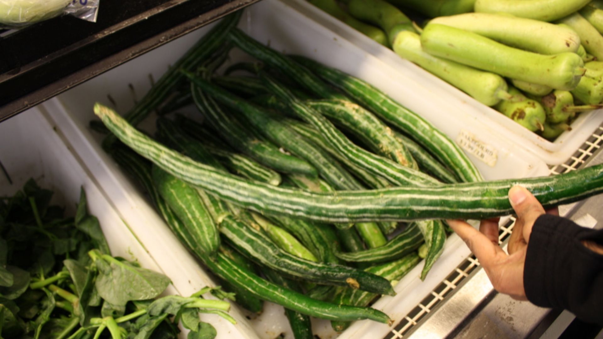 File:Trichosanthes cucumerina var. anguina - Snake Gourd in a market in North India.jpg