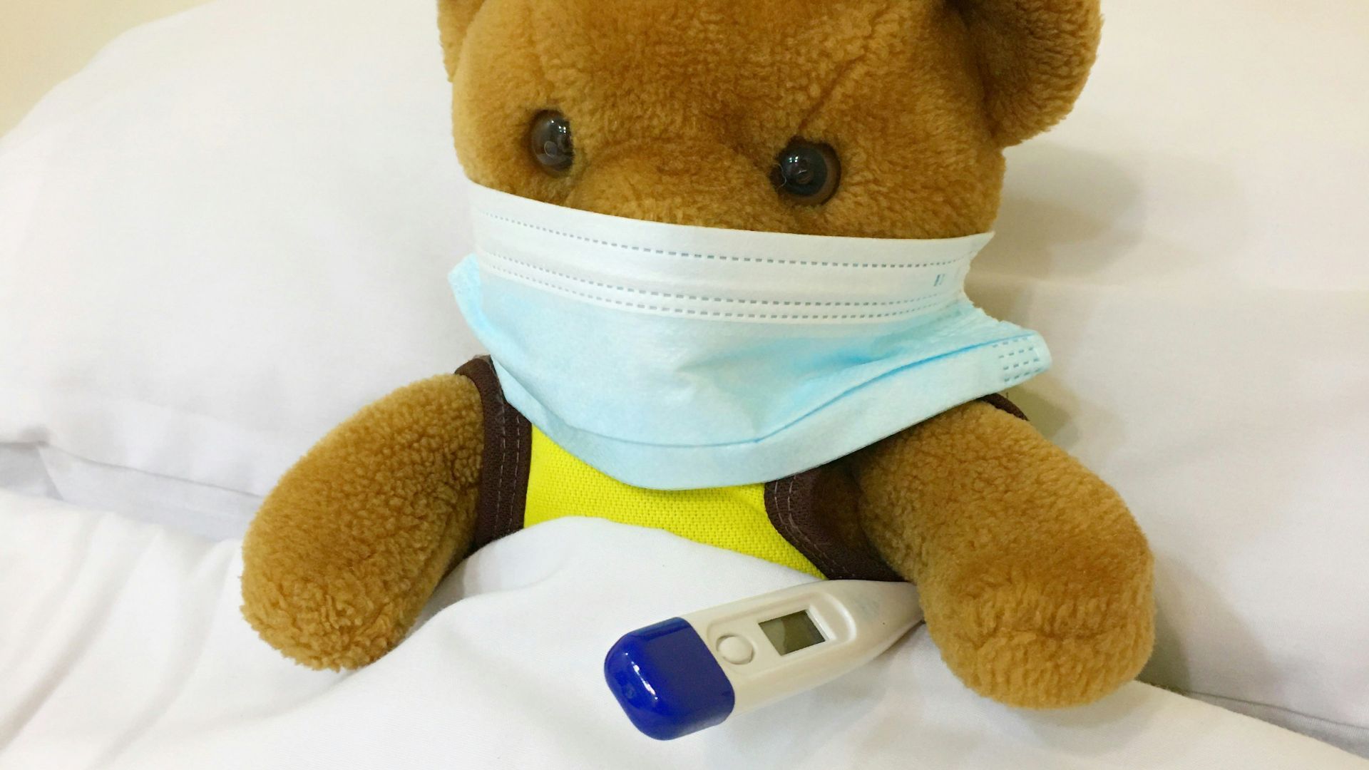 brown bear plush toy on white textile