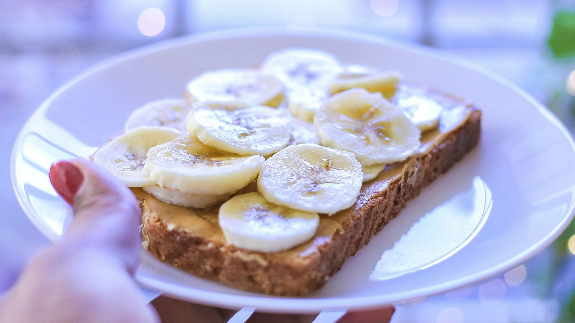person holding brown bread on white ceramic plate