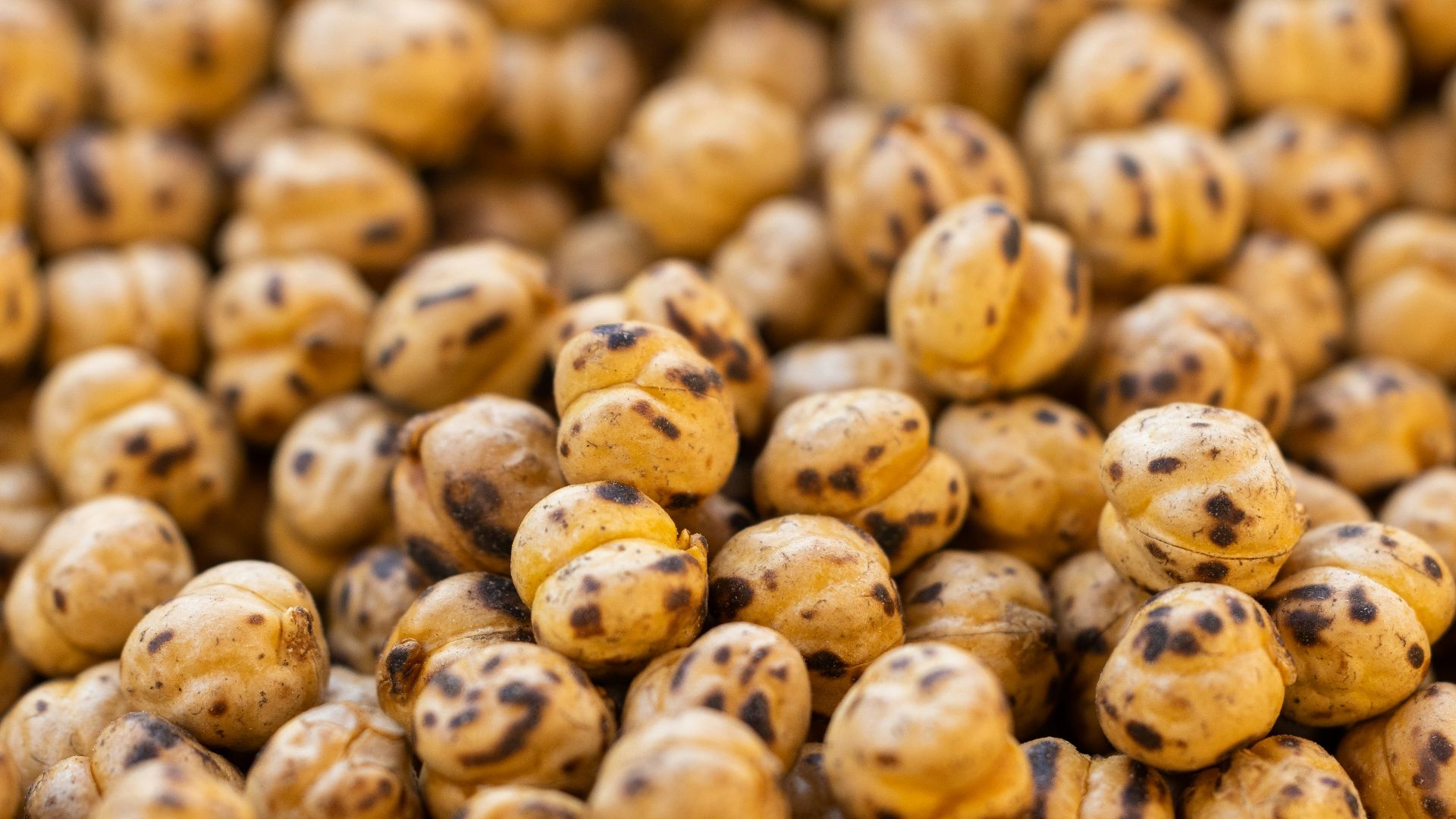 a close up of a bunch of brown and black speckles