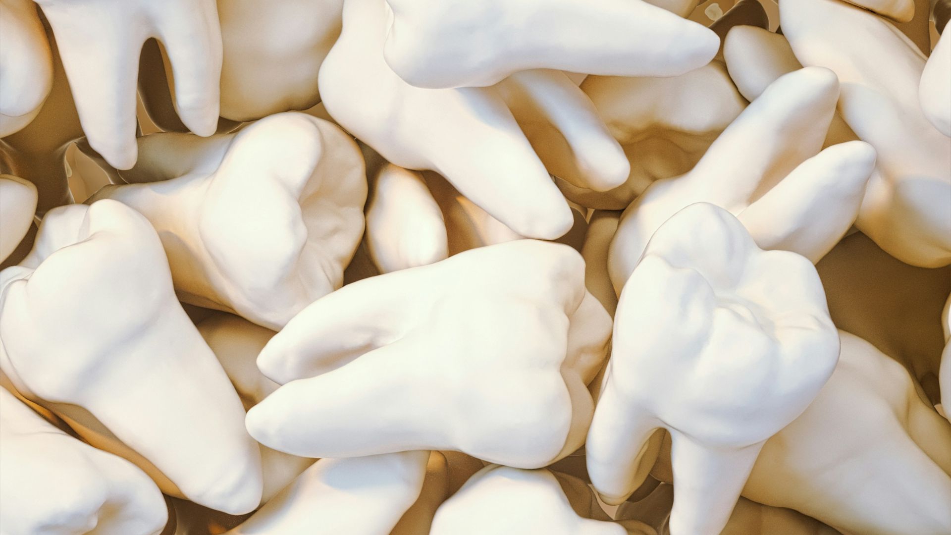 white flower petals on white textile