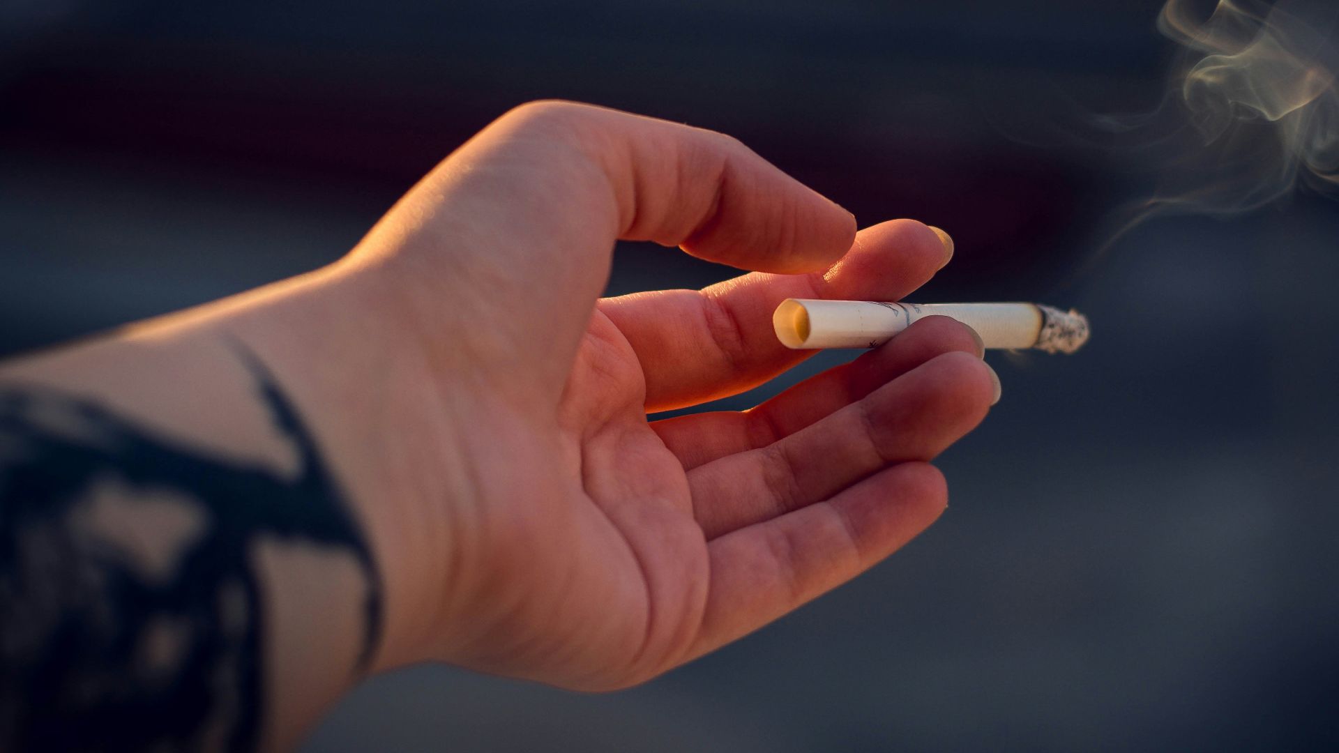 person holding white cigarette stick