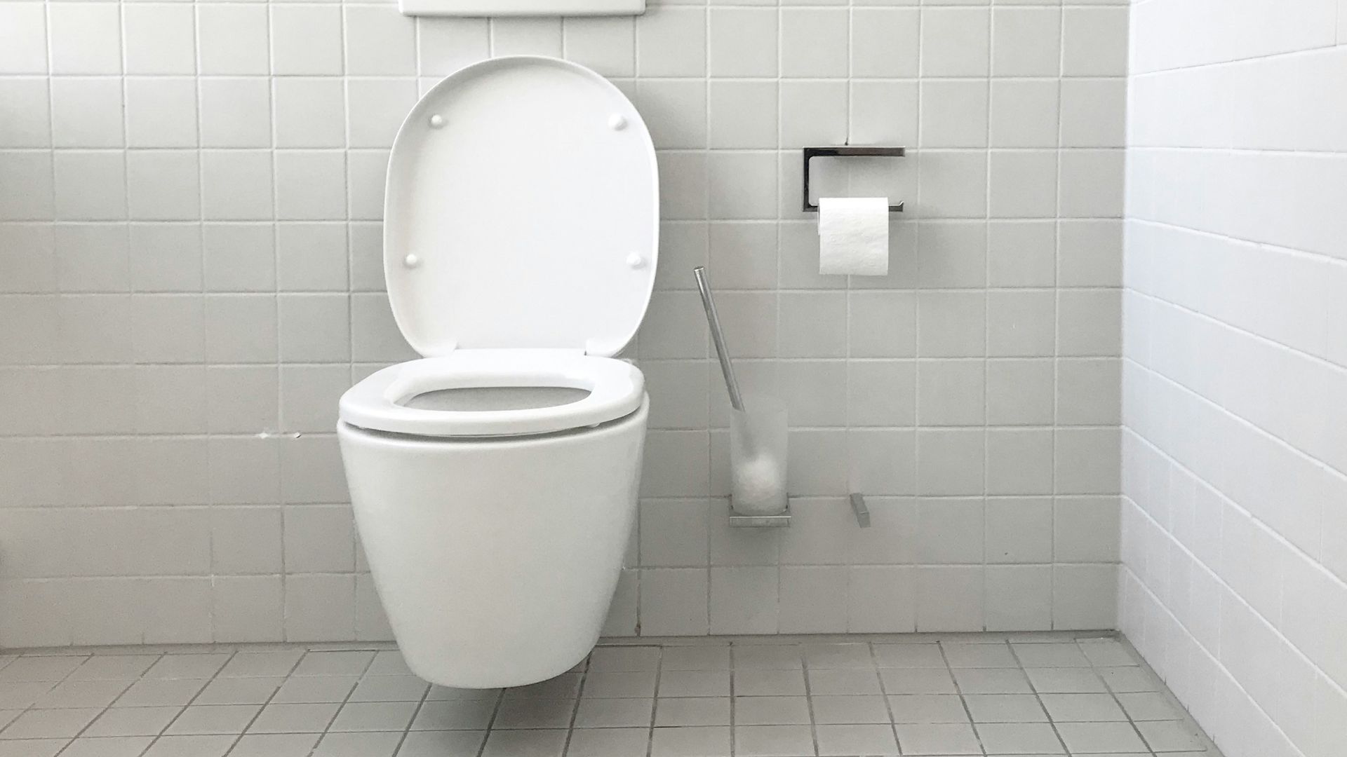 white toilet bowl with cistern