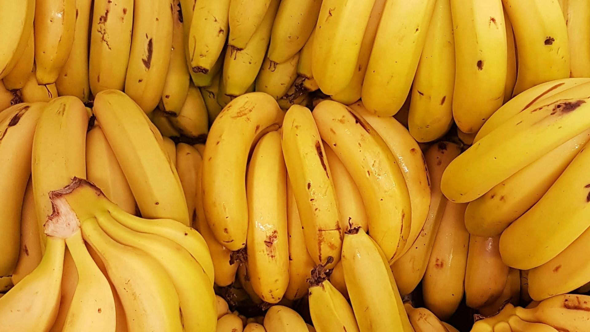 yellow banana fruit on brown wooden table