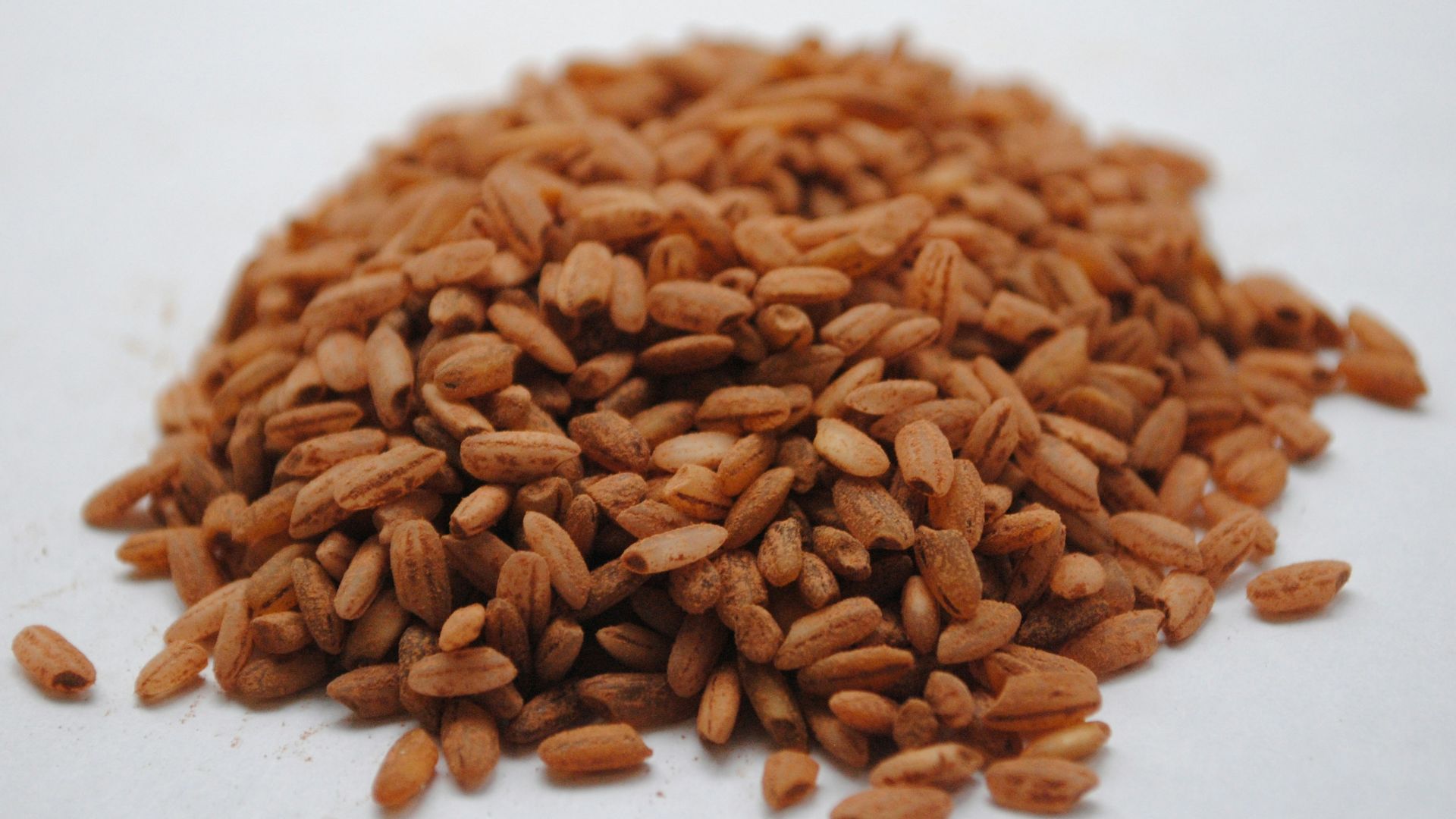 brown peanuts on white ceramic plate