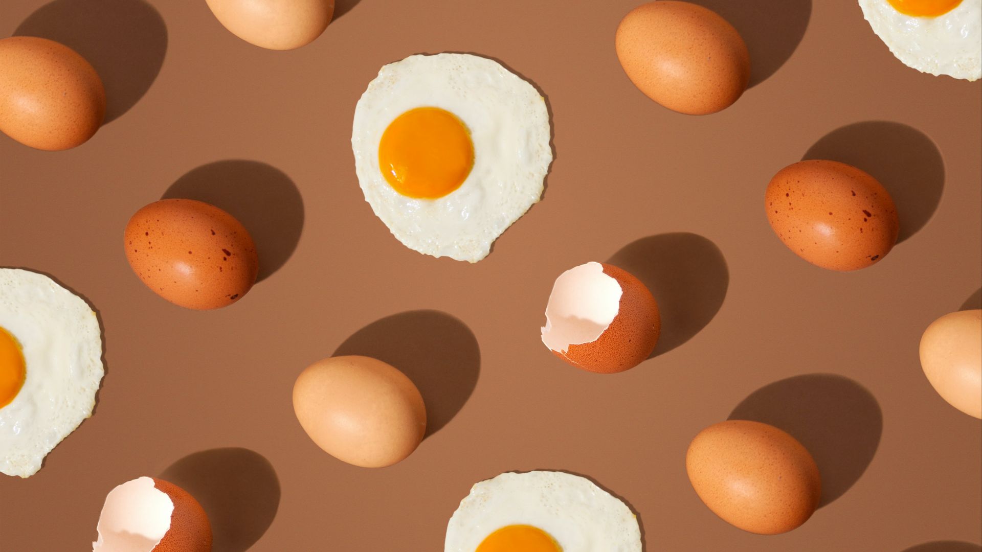 brown and white egg lot