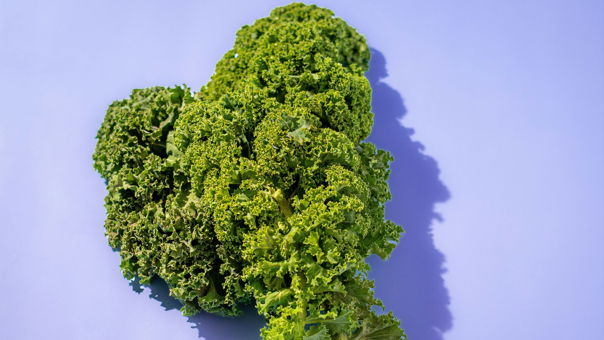 a pile of green leafy vegetables on a blue background