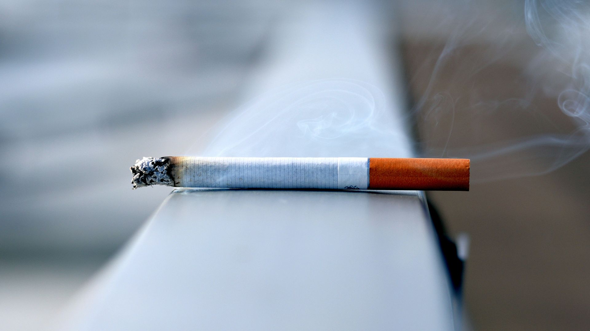 white cigarette stick on white wall