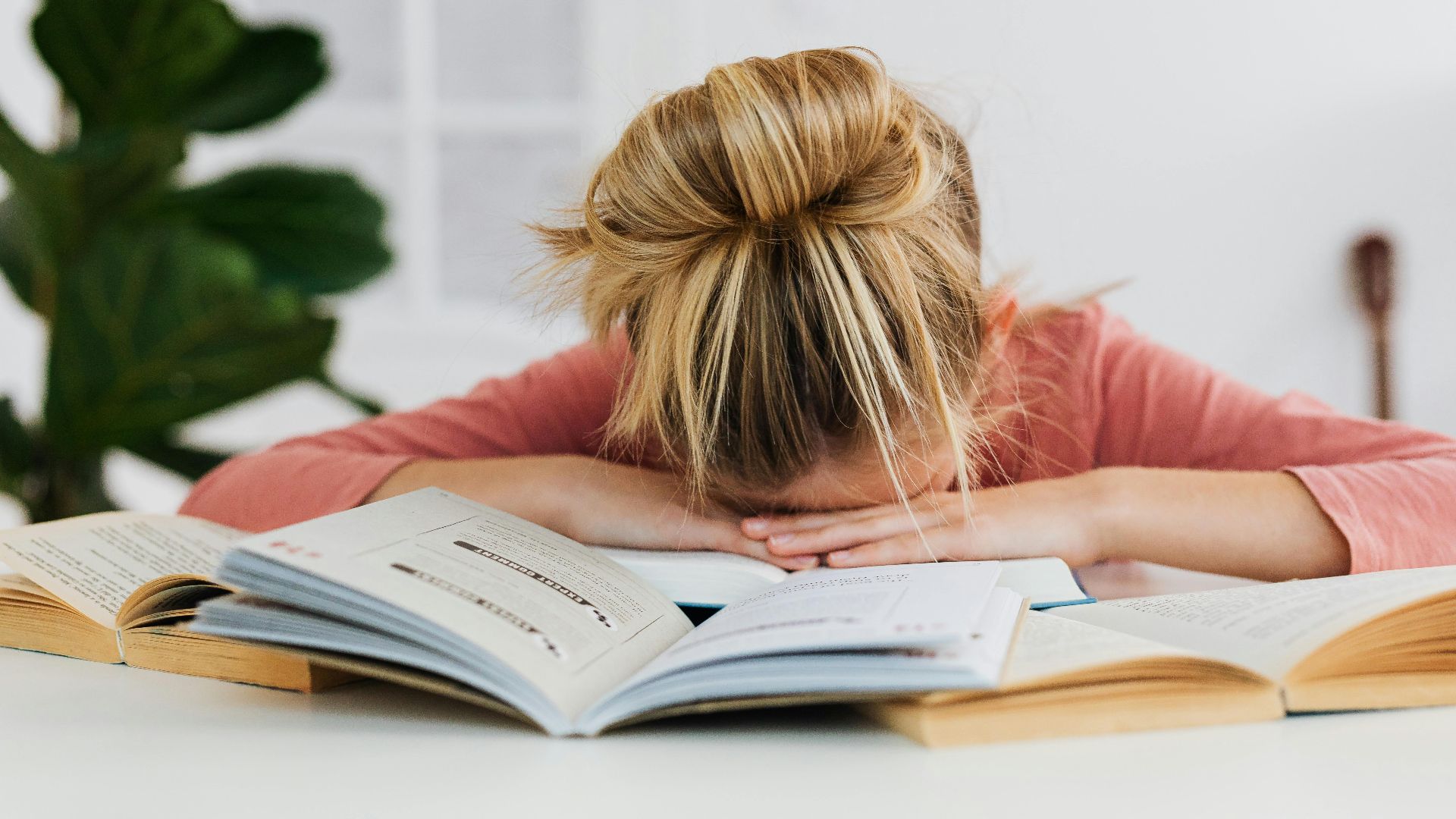 Photo By: Kaboompics.com