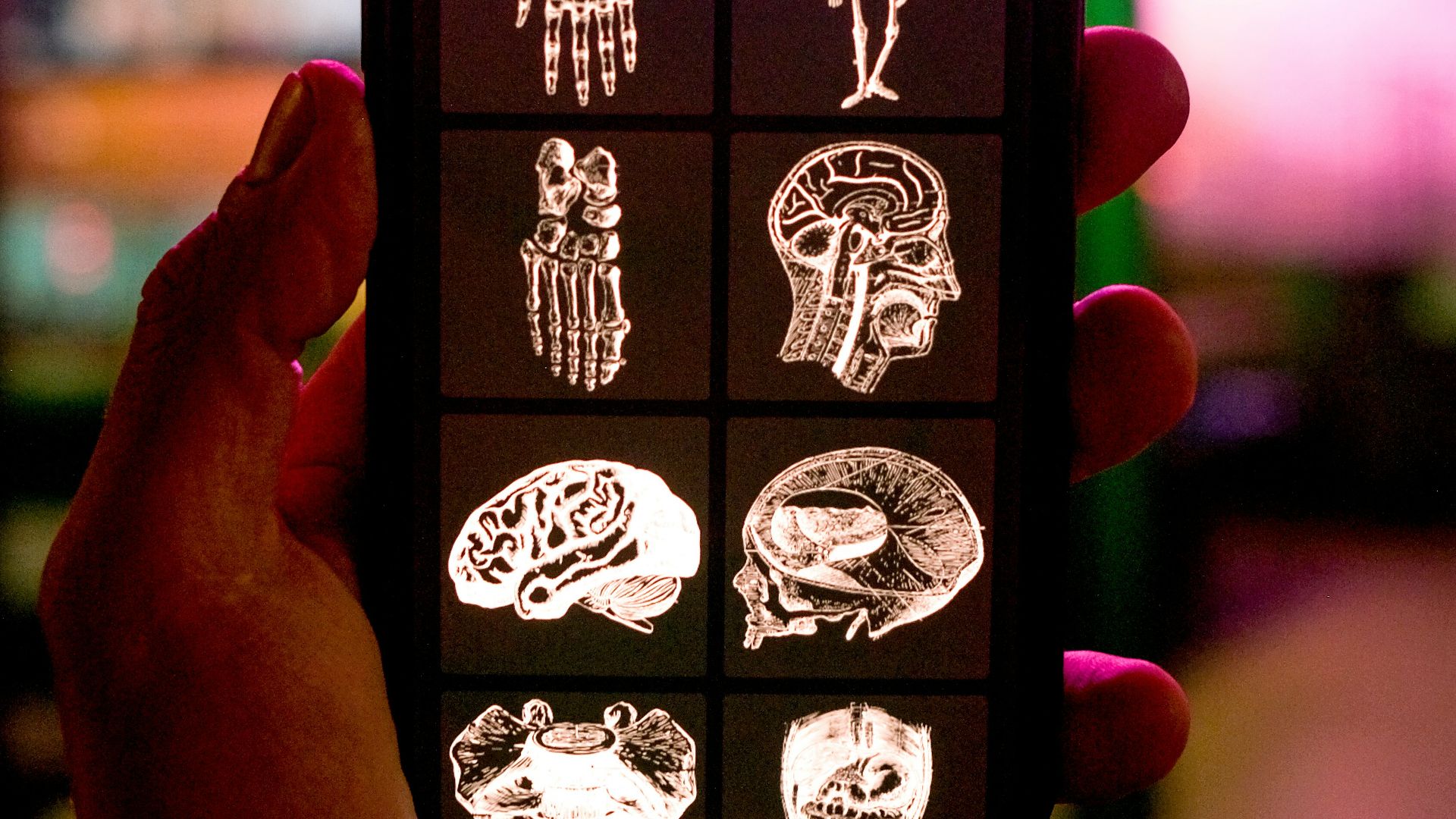 graphical user interface, application