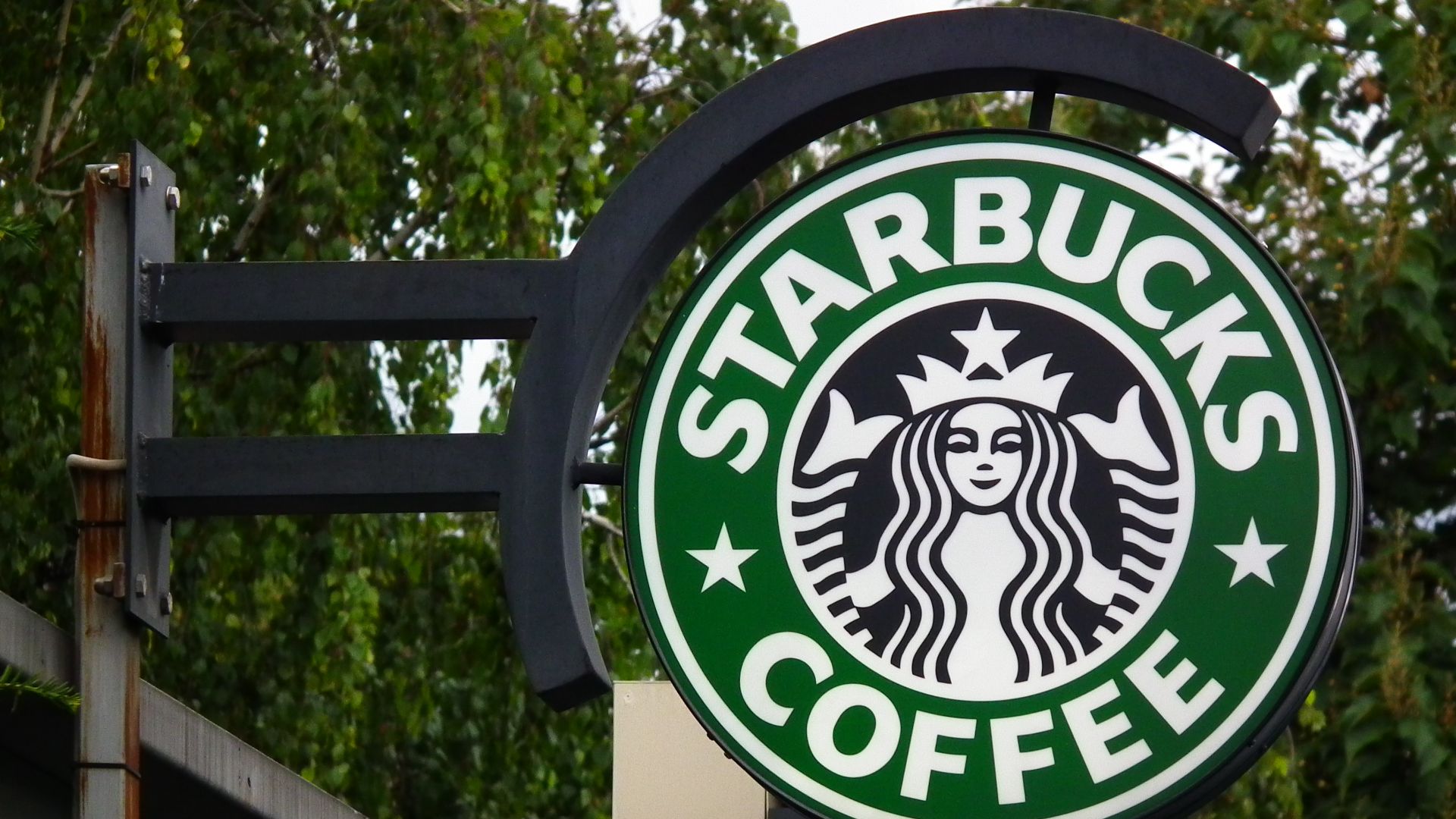 File:Starbucks Coffee Mannheim August 2012.JPG
