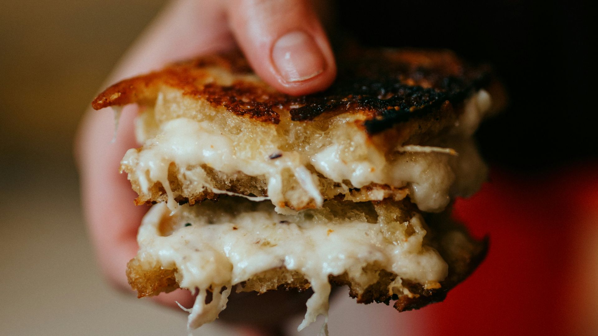 person holding brown and white bread