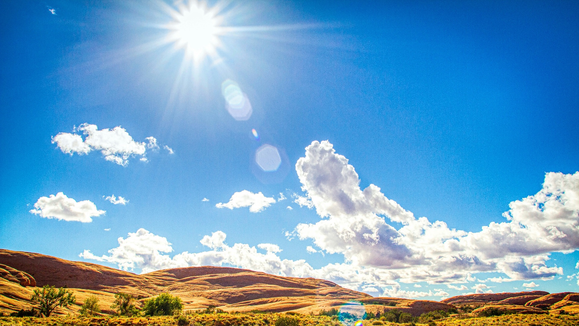brown field under blue sky during daytime