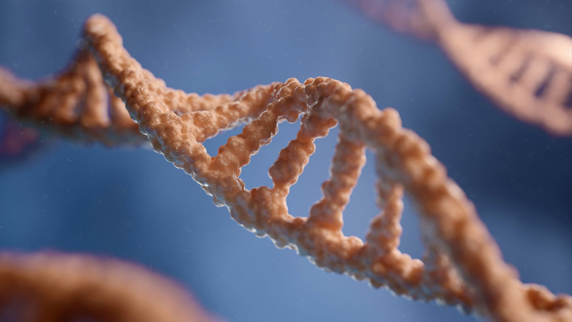 a close up of a single strand of food