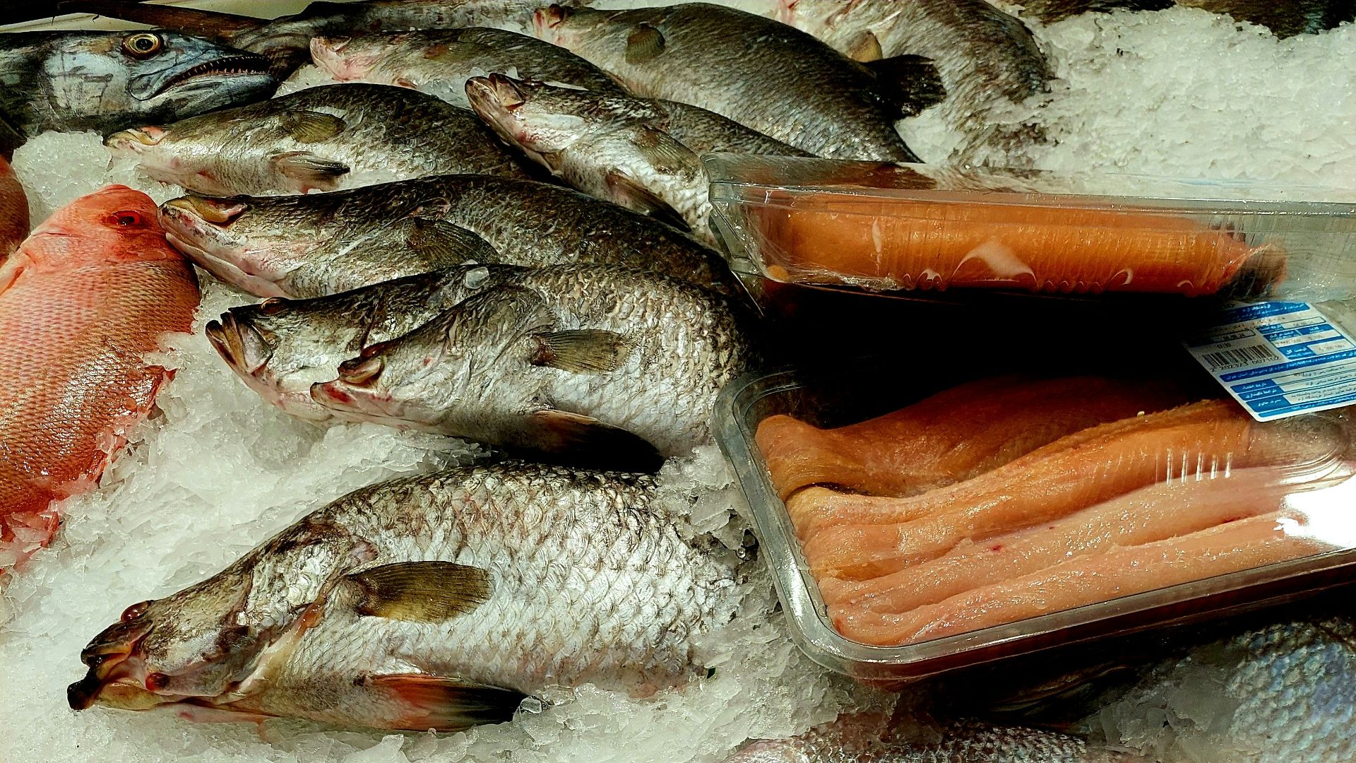 Fresh fish displayed on ice at market