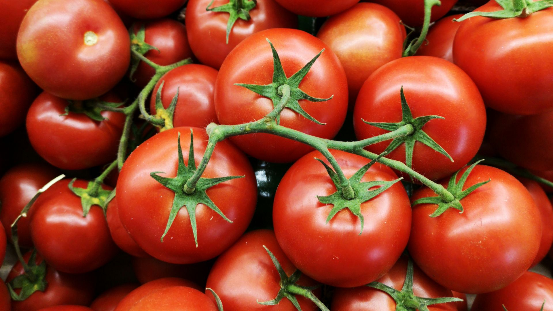 red tomatoes on brown wooden table