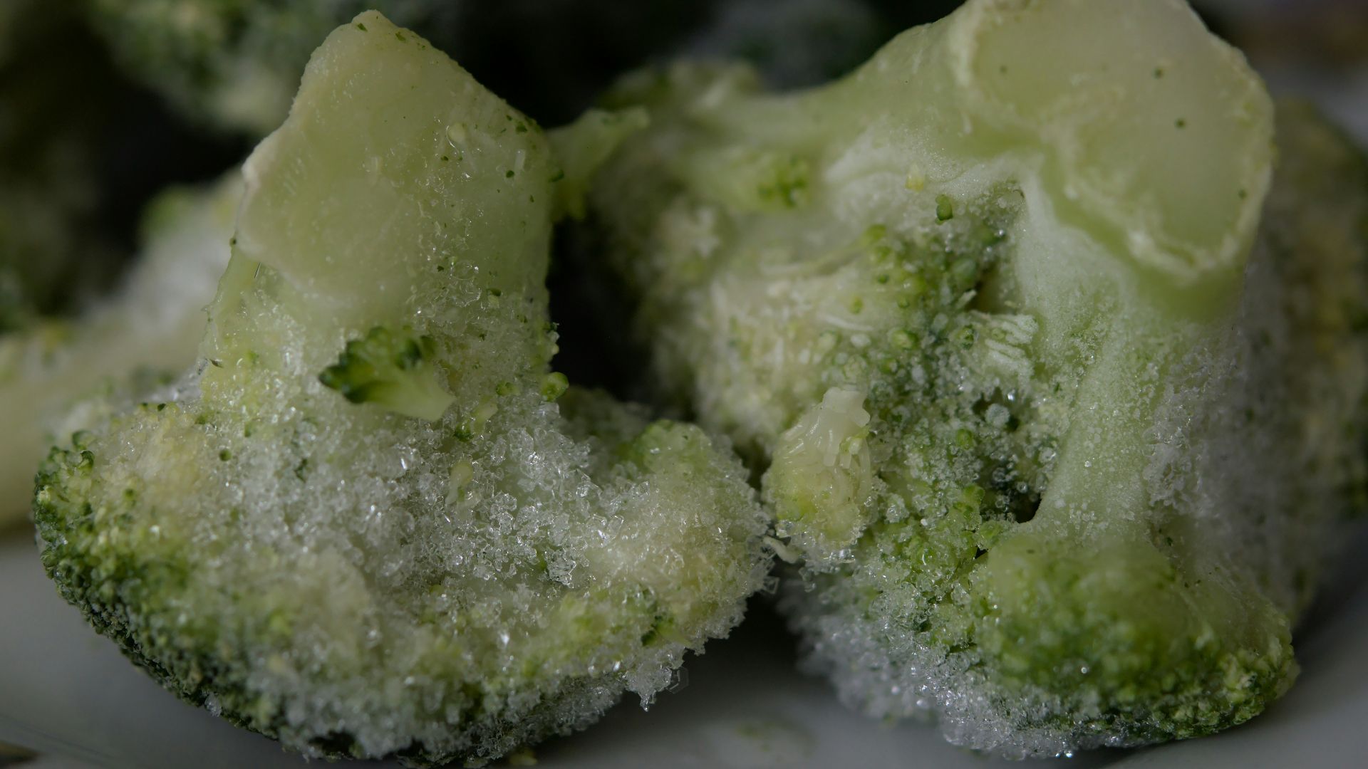 green and white food on white ceramic plate