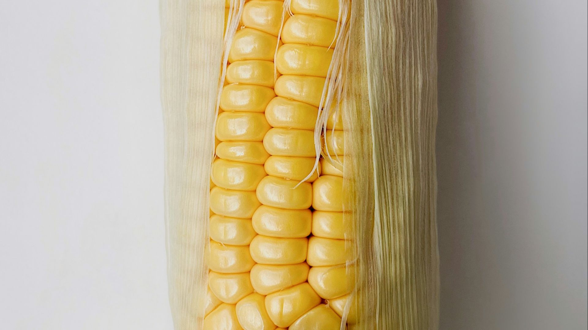 corn on white ceramic plate