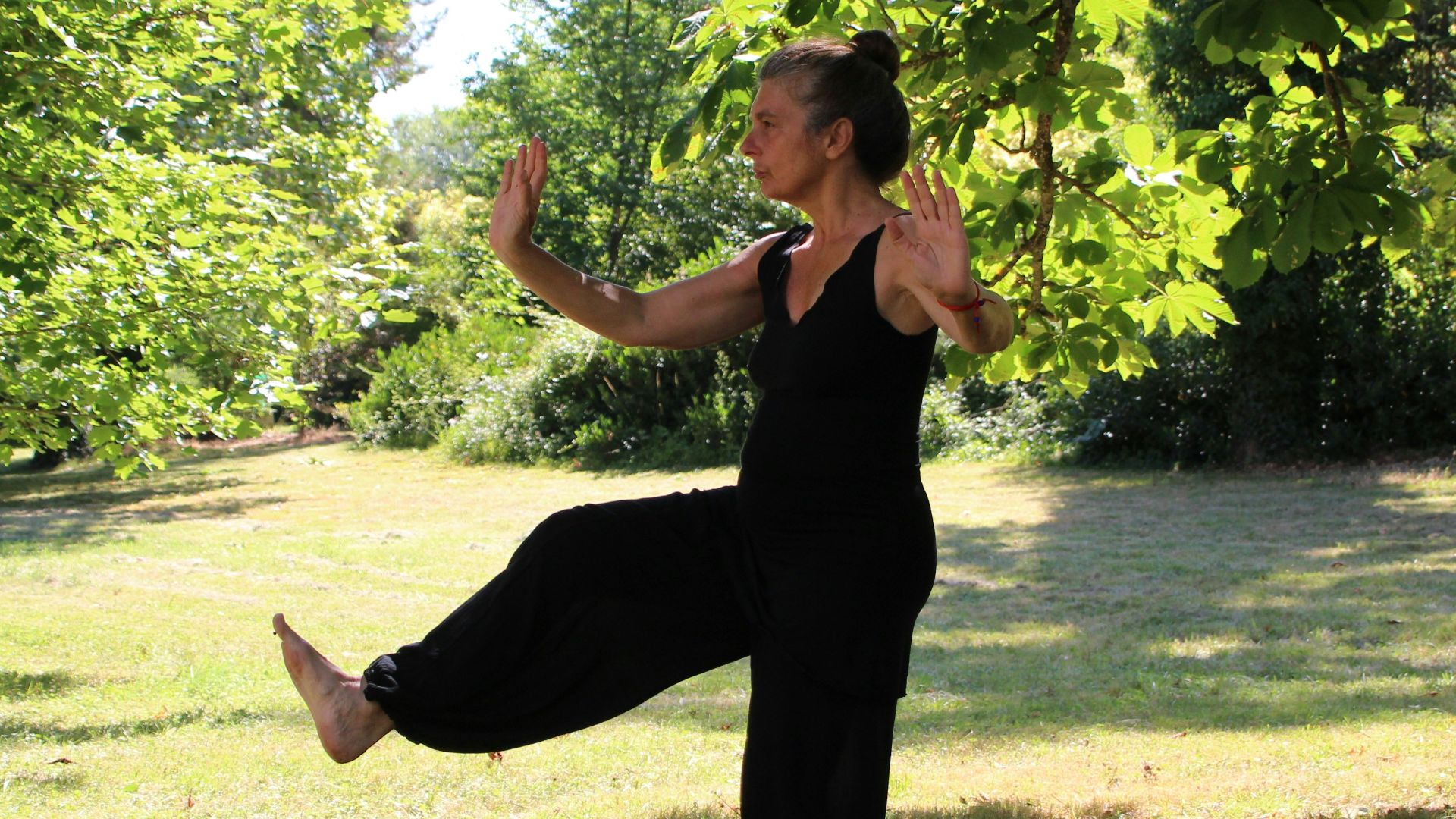 woman in black sleeveless dress standing under green tree during daytime