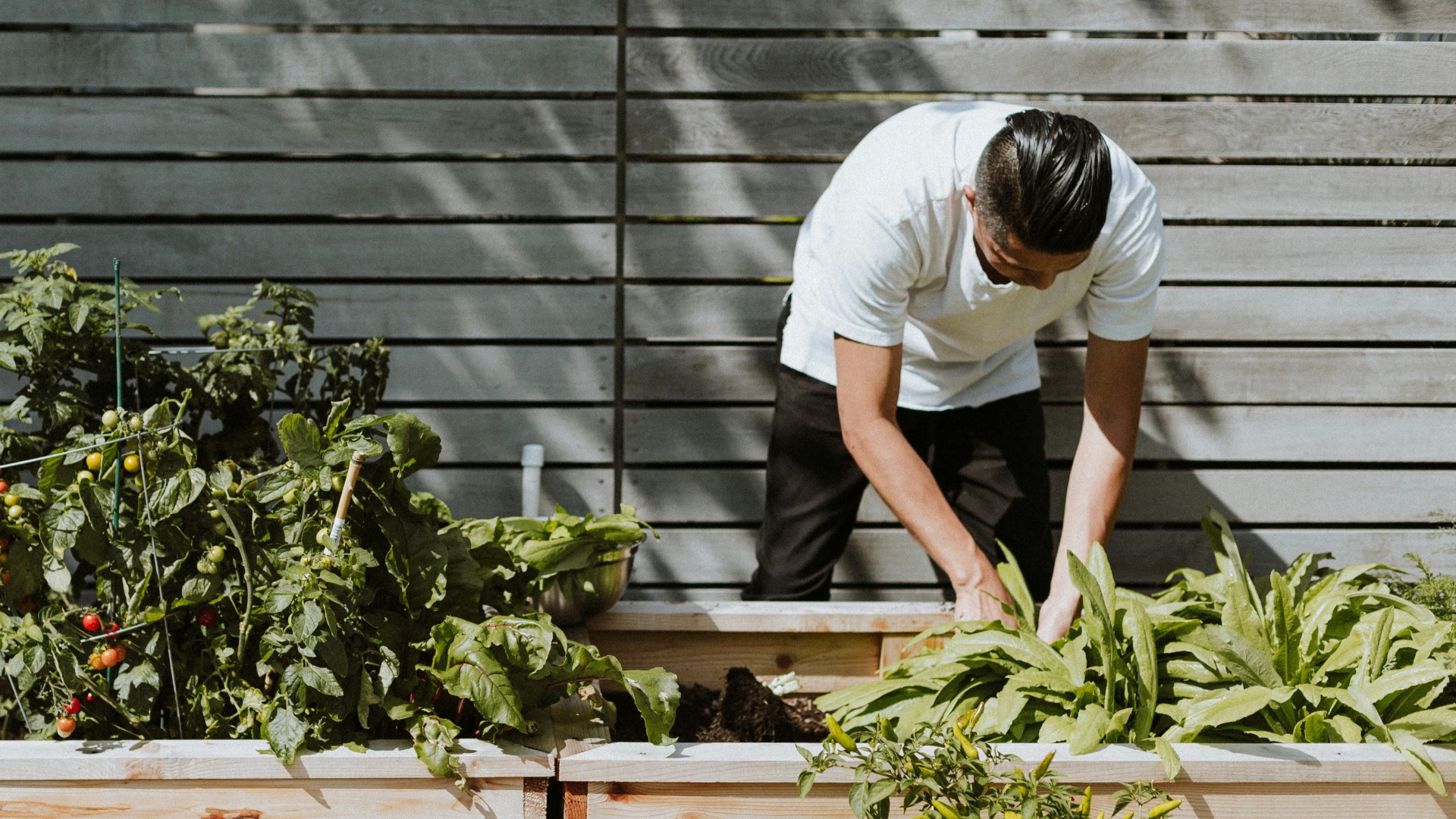 man in white t-shirt and white pants sitting on brown wooden bench