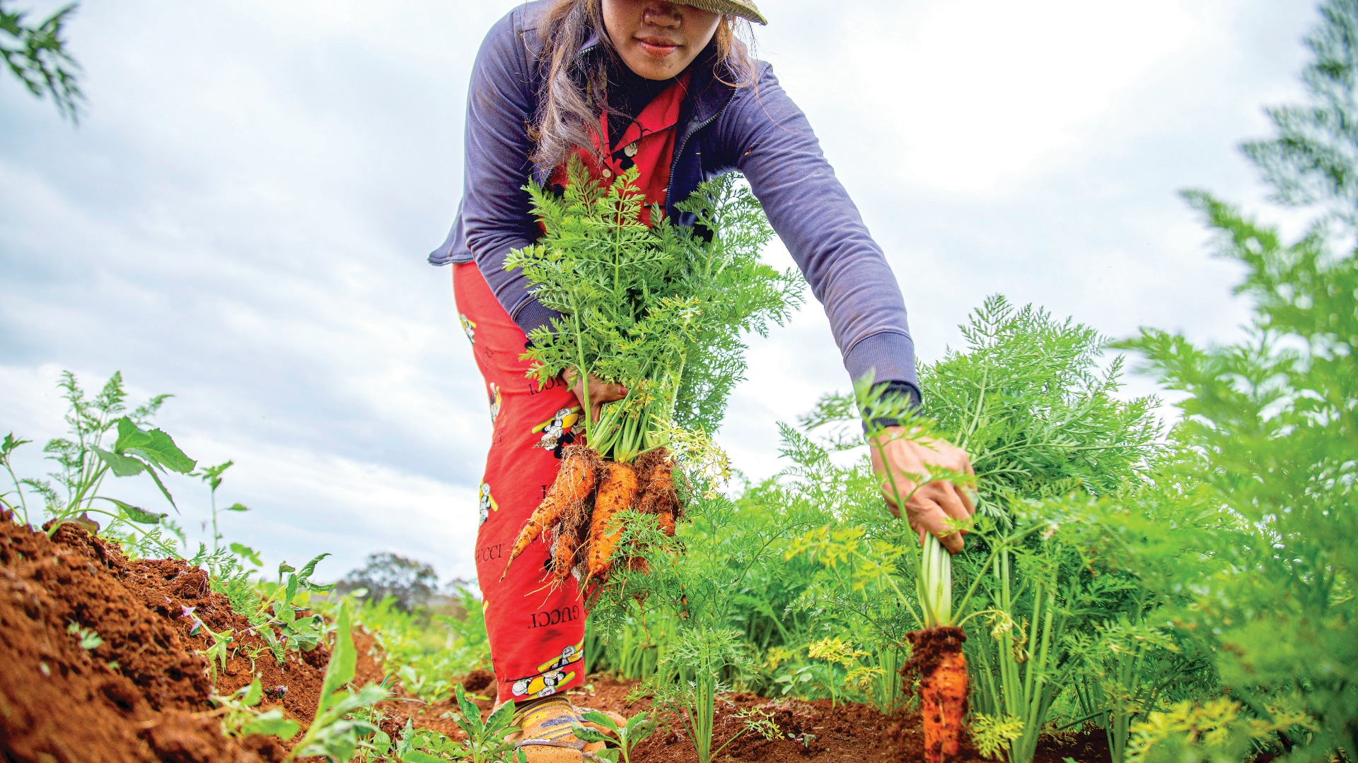 woman in blue and gray jacket holding green plant during daytime