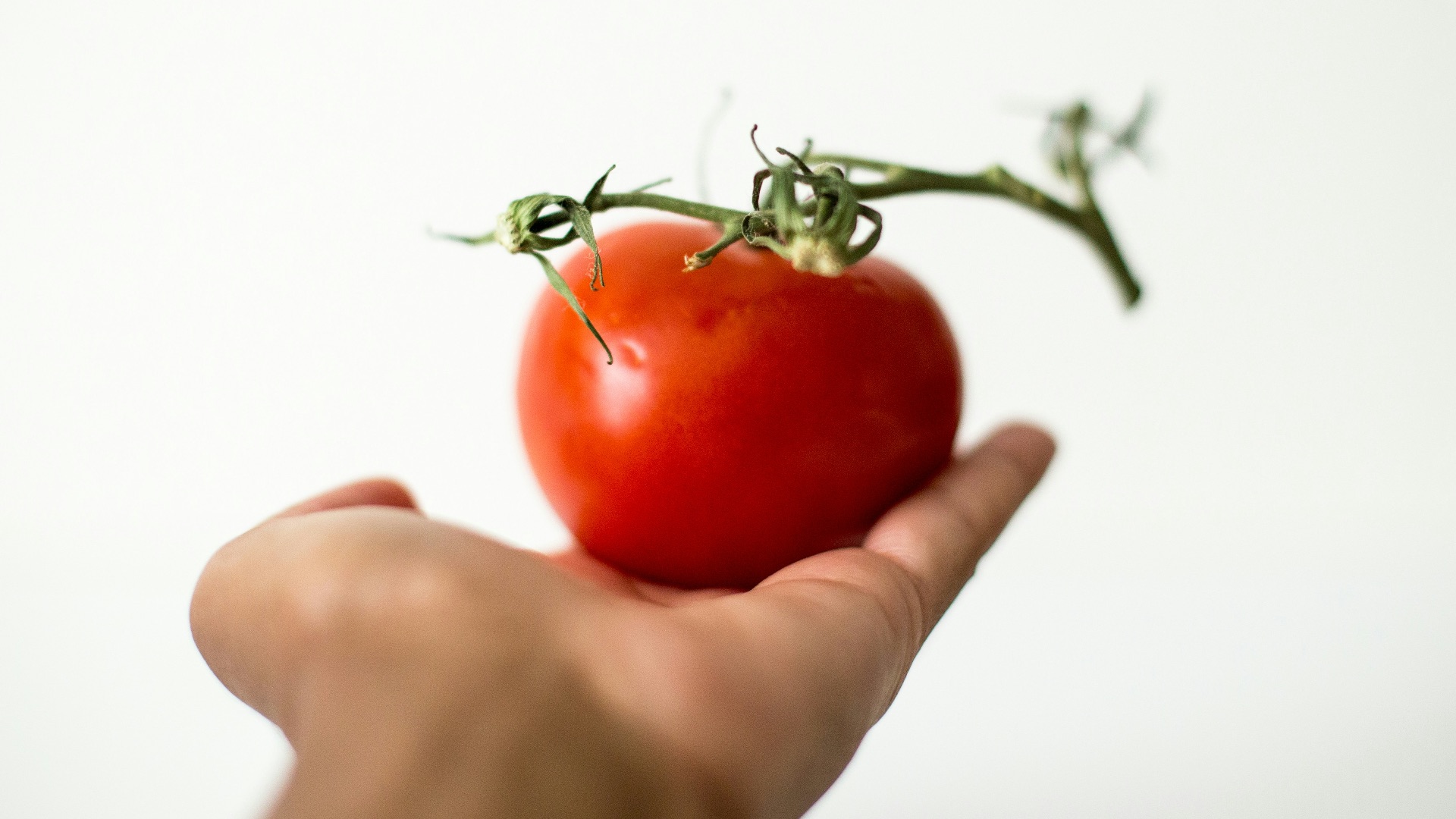 red tomato on person's palm