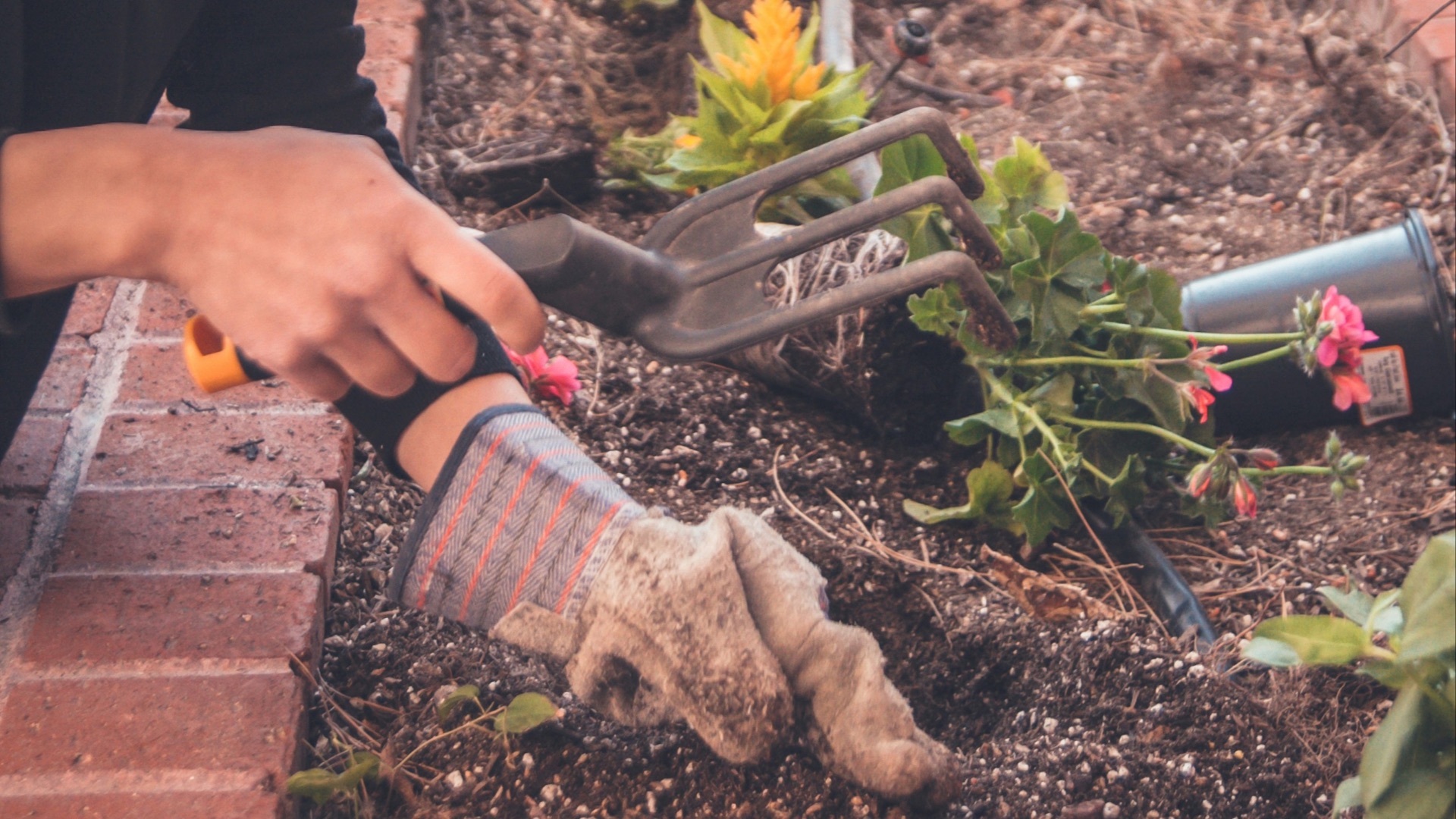 woman holding garden fork