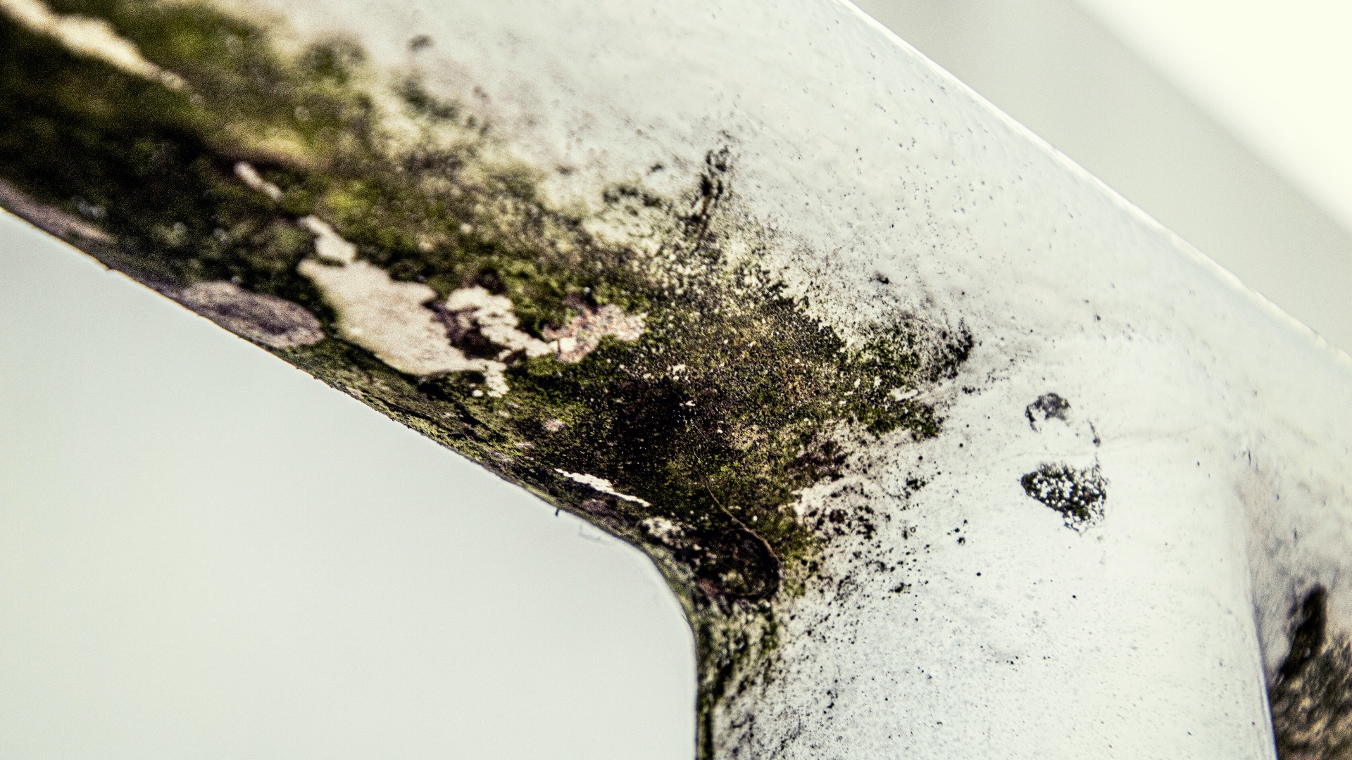 a close up of a piece of metal with moss growing on it