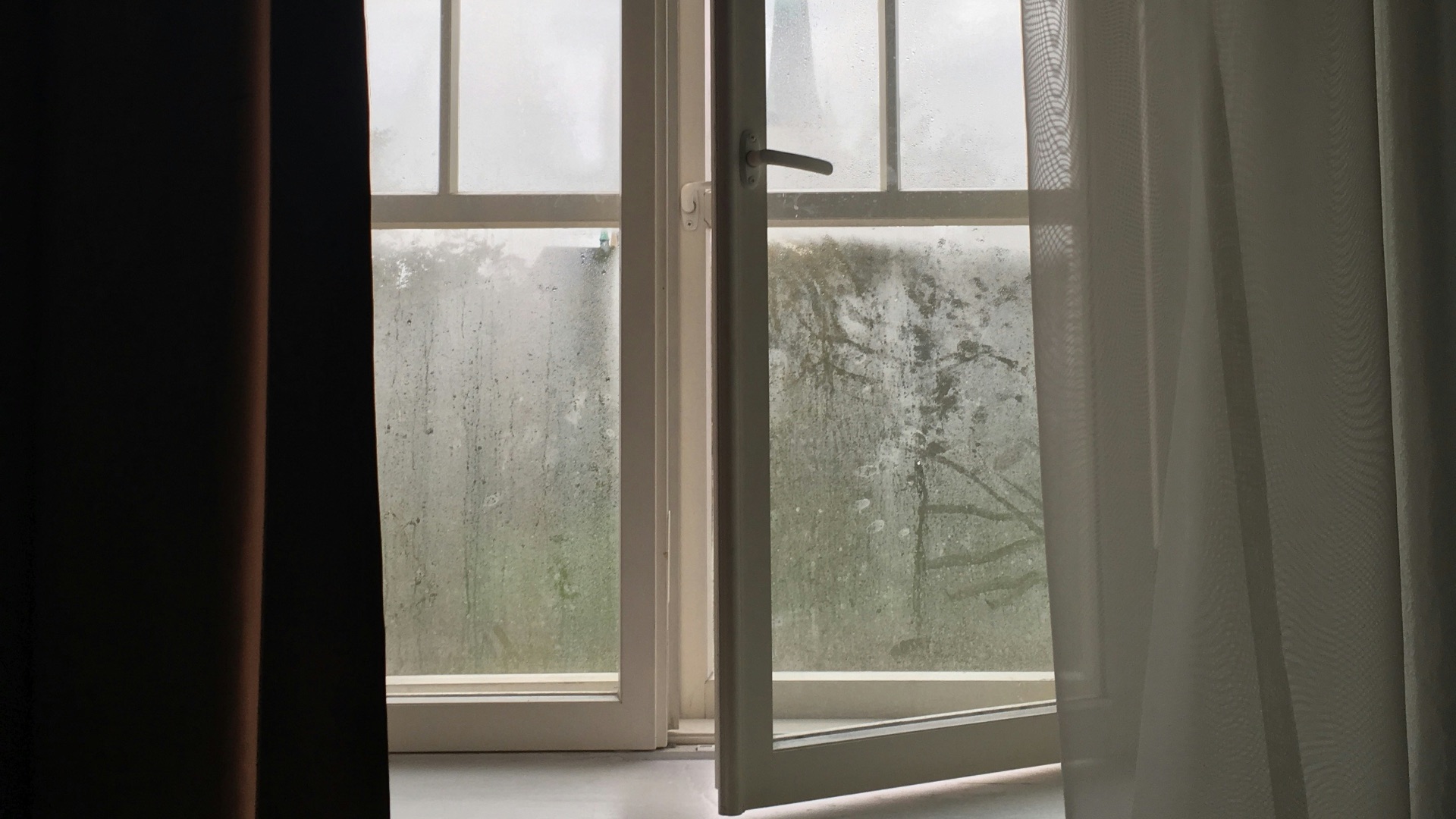 a window with a view of trees outside