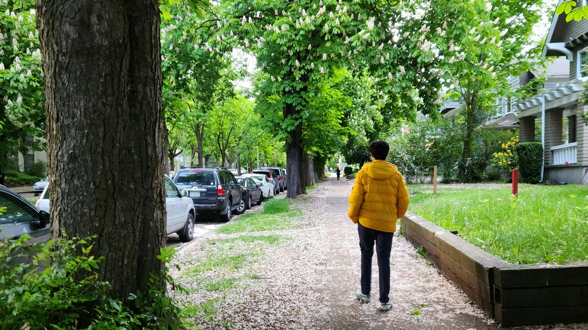 a person in a yellow jacket walking down a path