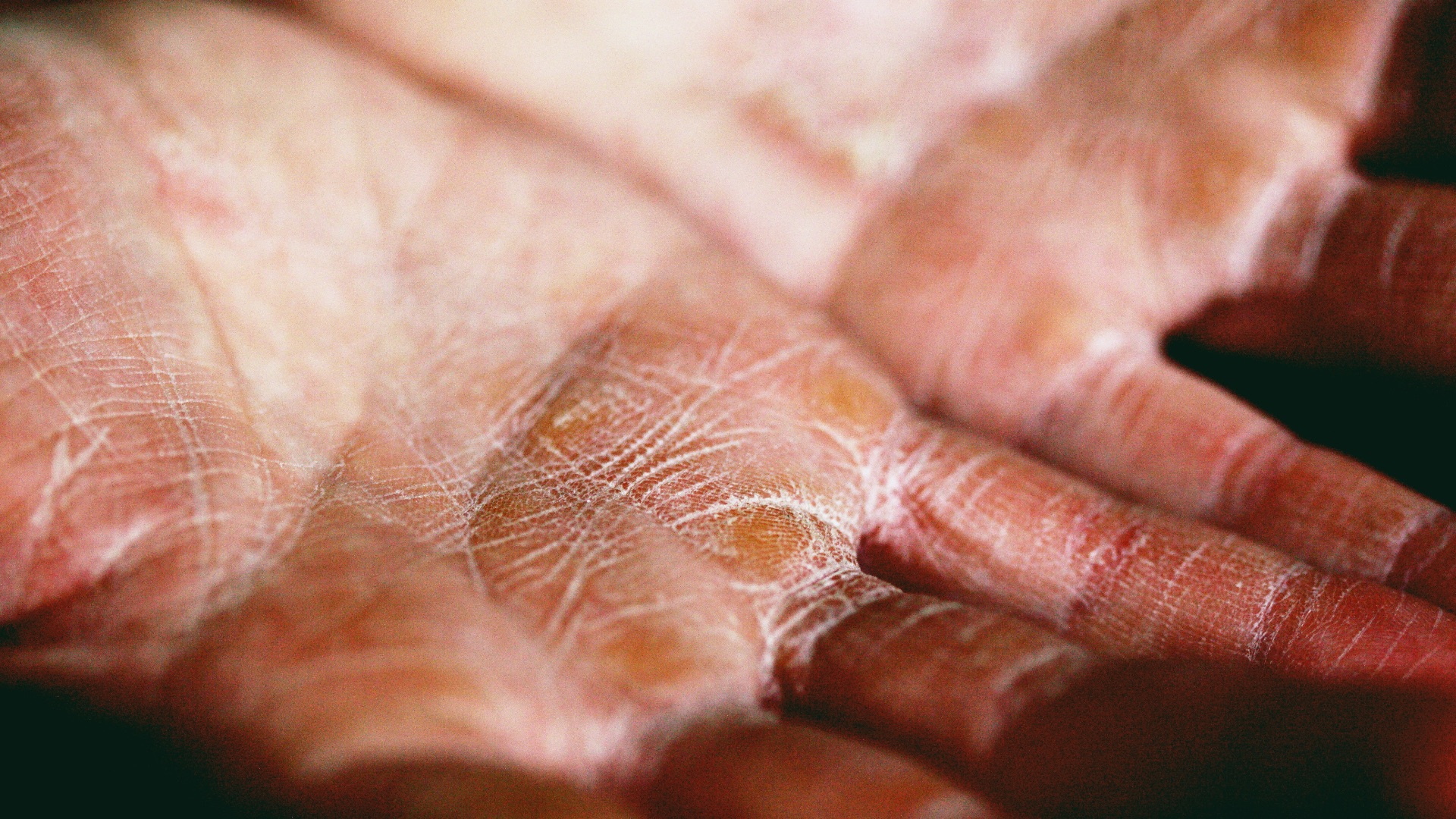 person holding brown and white textile