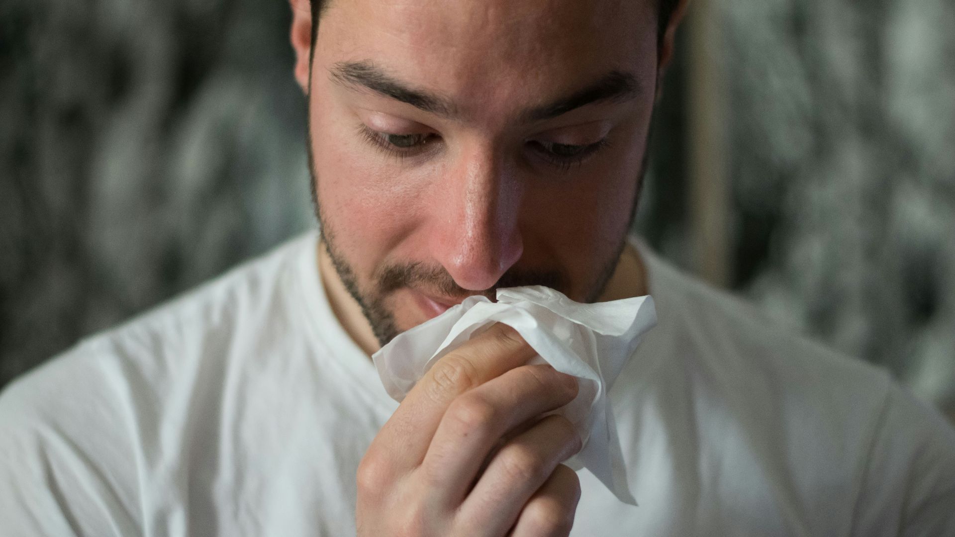 man wiping mouse with tissue paper