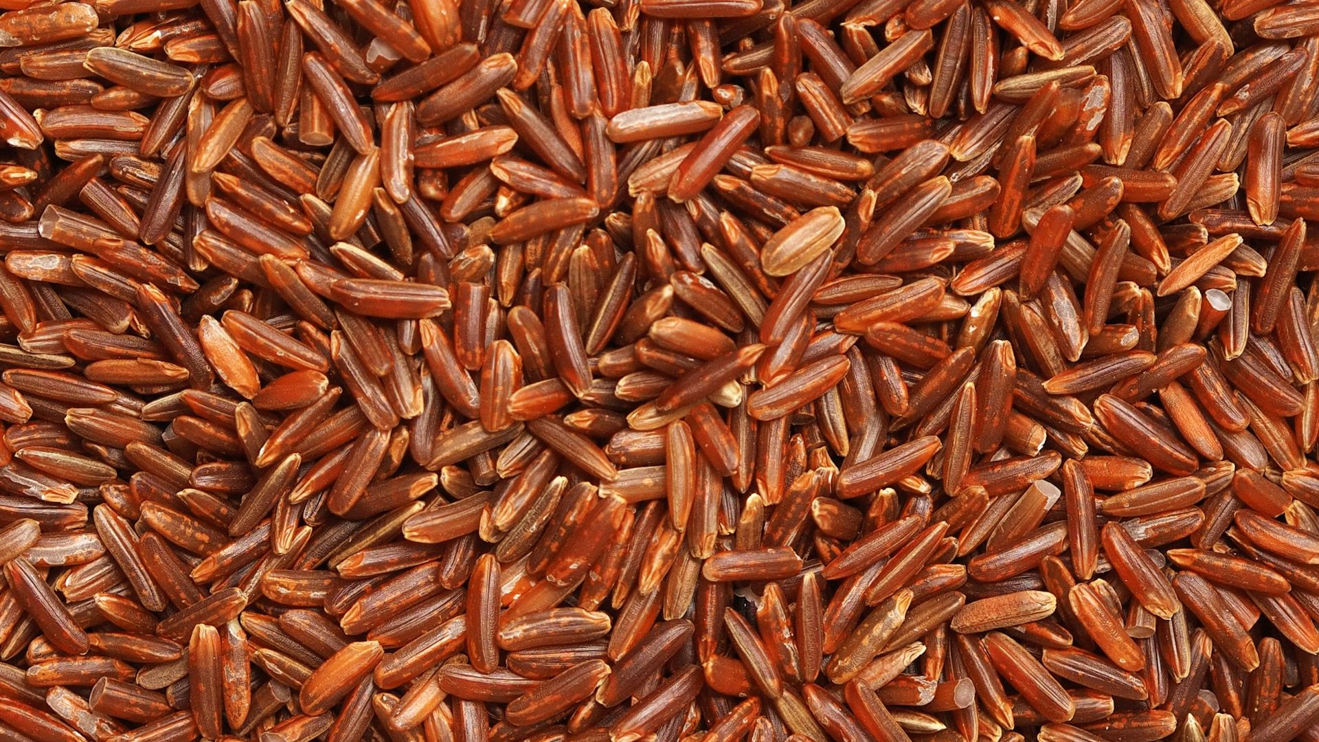 brown and white dried leaves