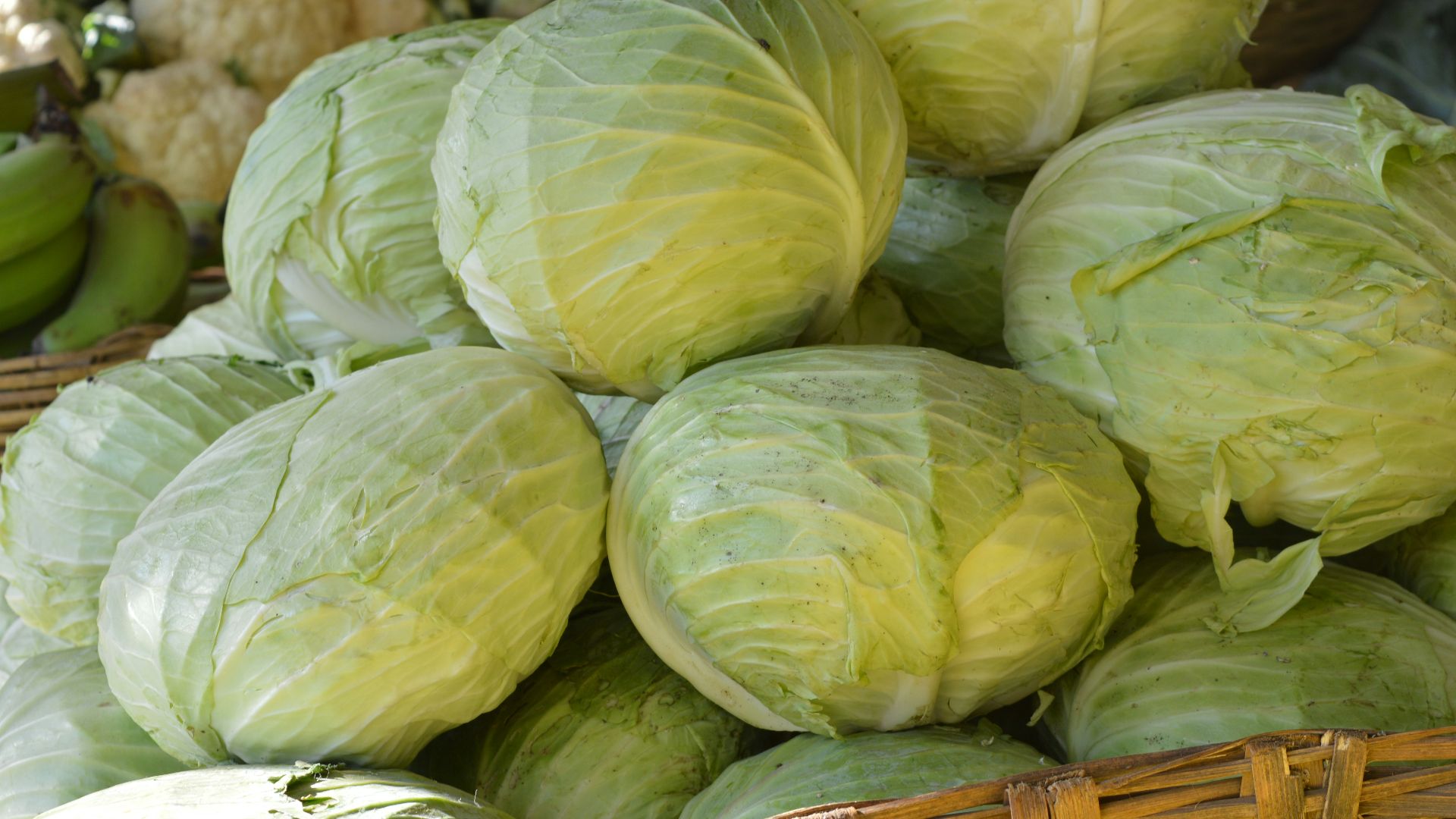 a basket filled with cabbage next to a pile of green apples