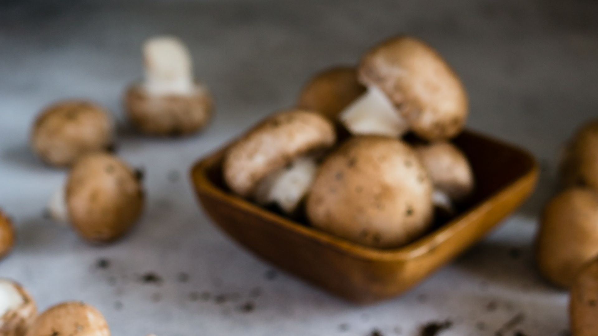 brown mushrooms on gray surface