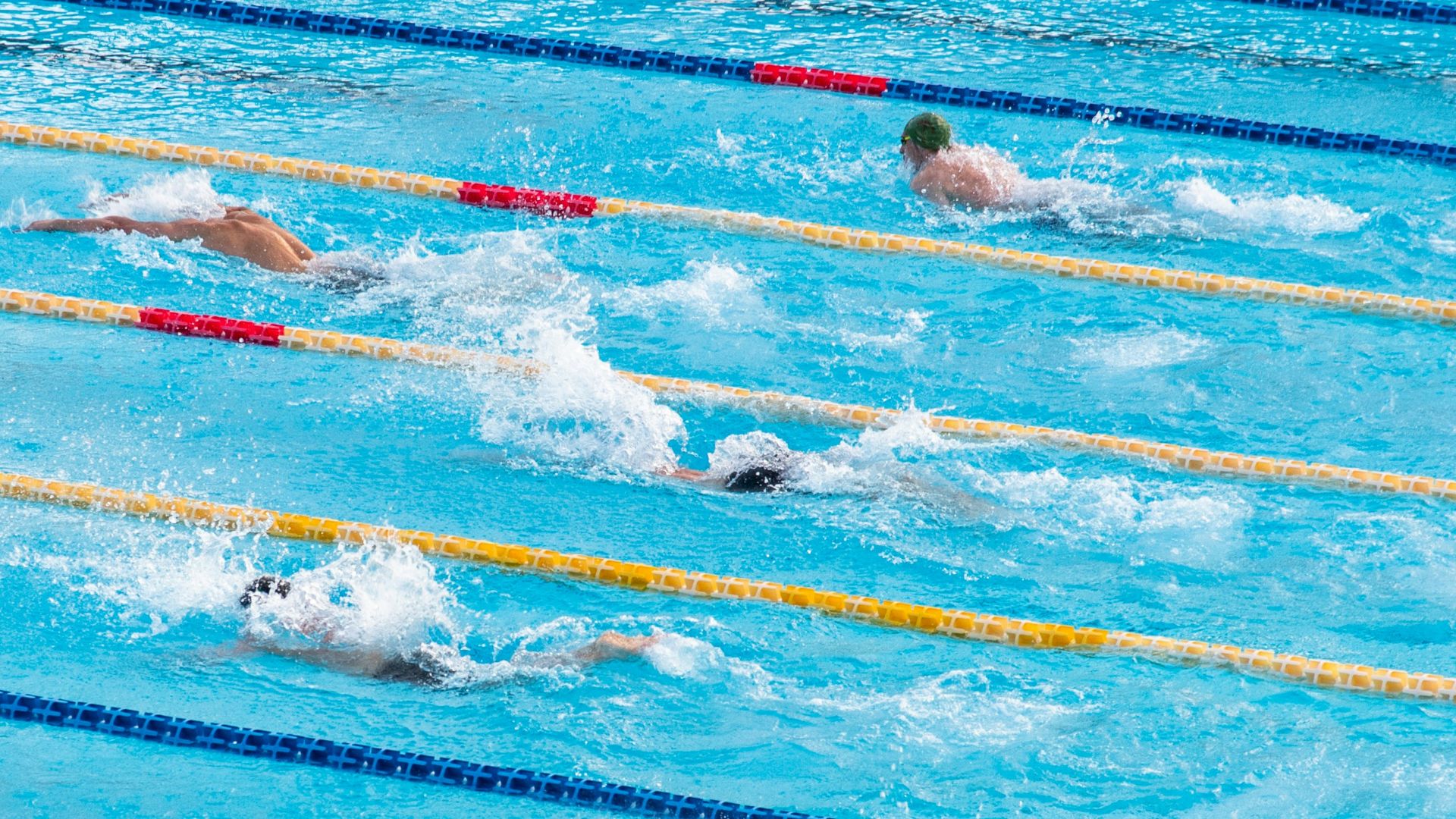 people in swimming pool