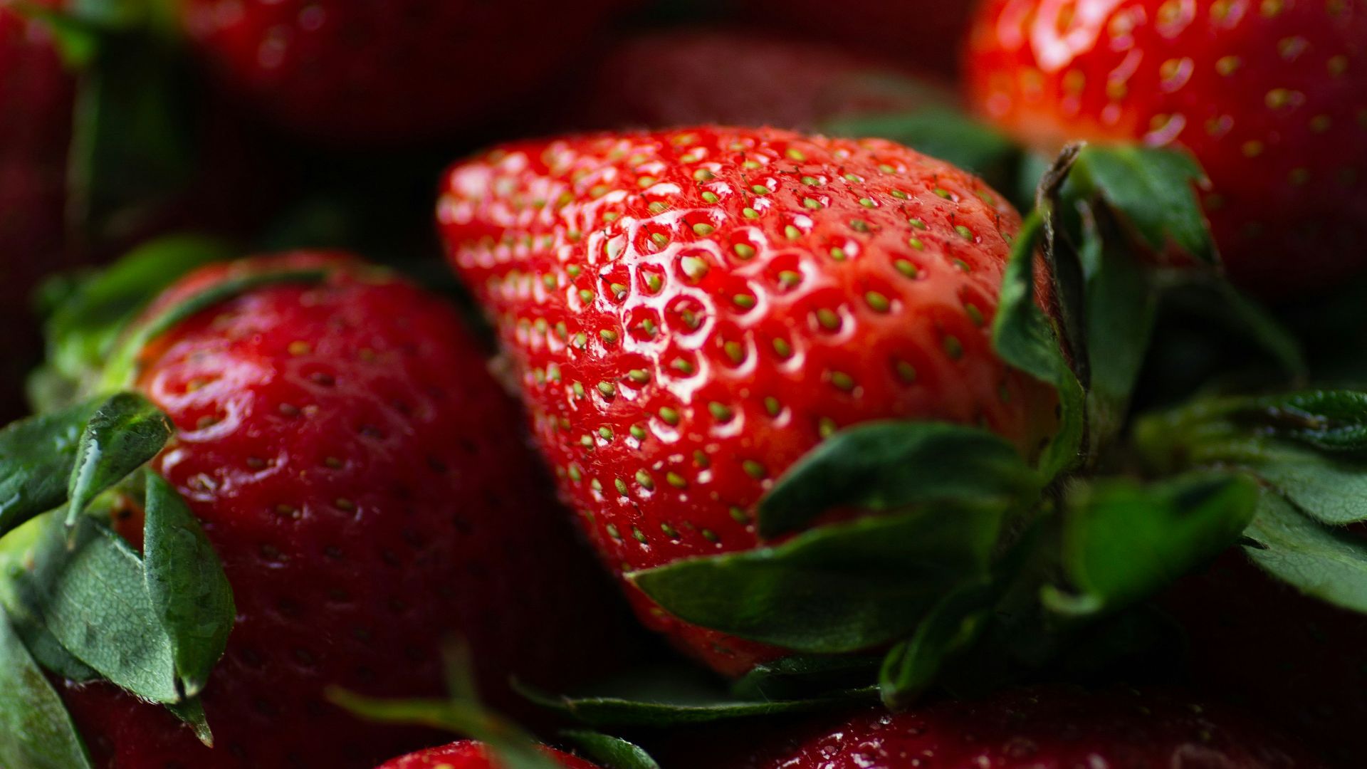 a close up of a plate of strawberries