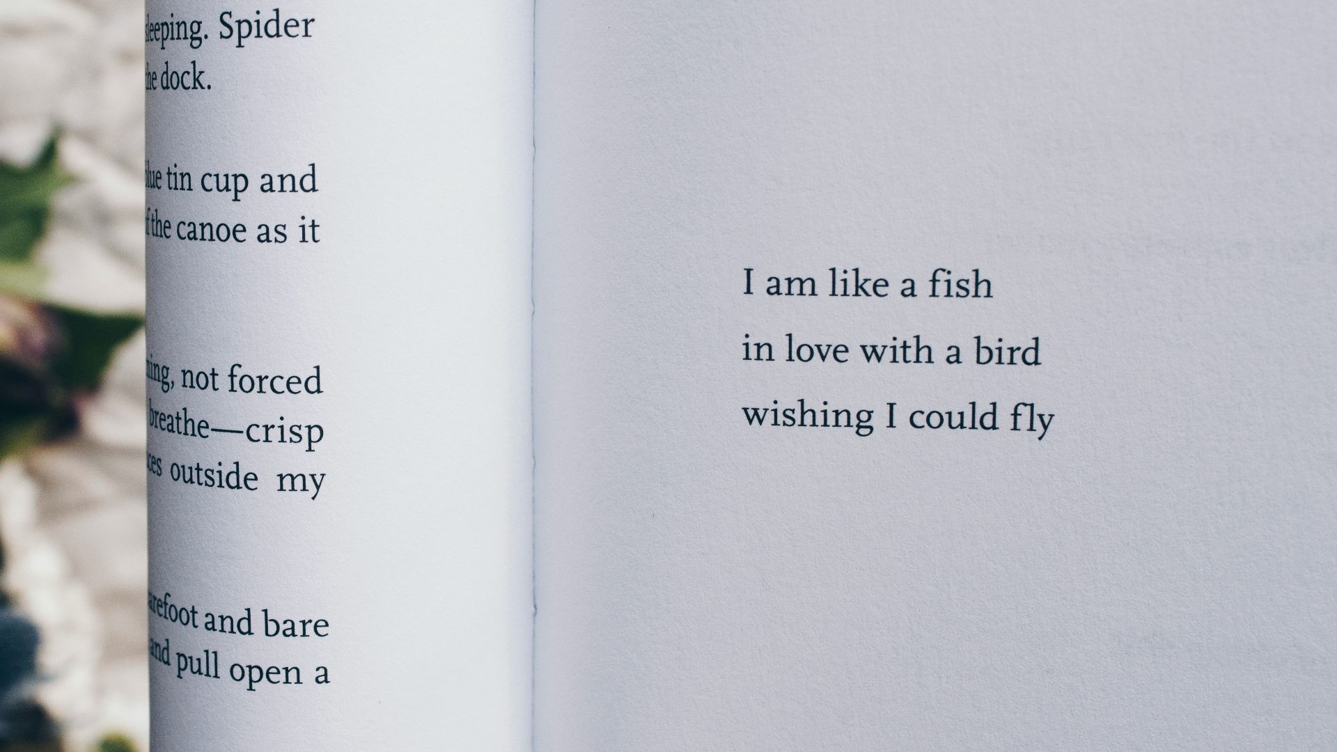 black and white printer paper