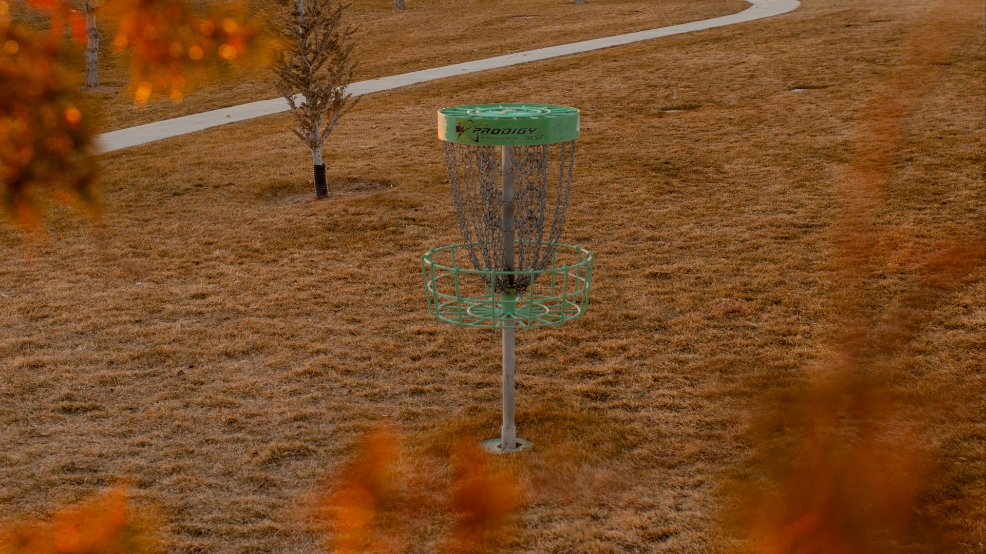 a frisbee golf goal in a park with a tree in the background