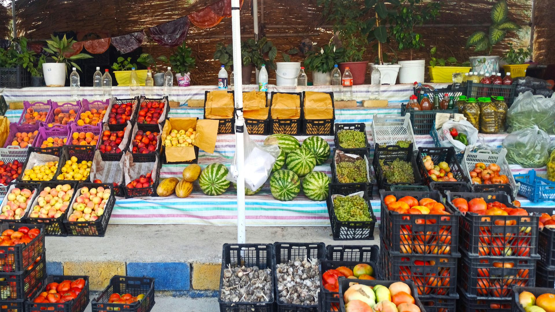 a fruit stand with a variety of fruits for sale