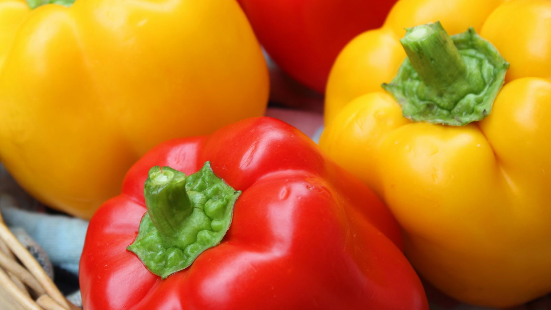 red and yellow bell peppers in brown woven basket