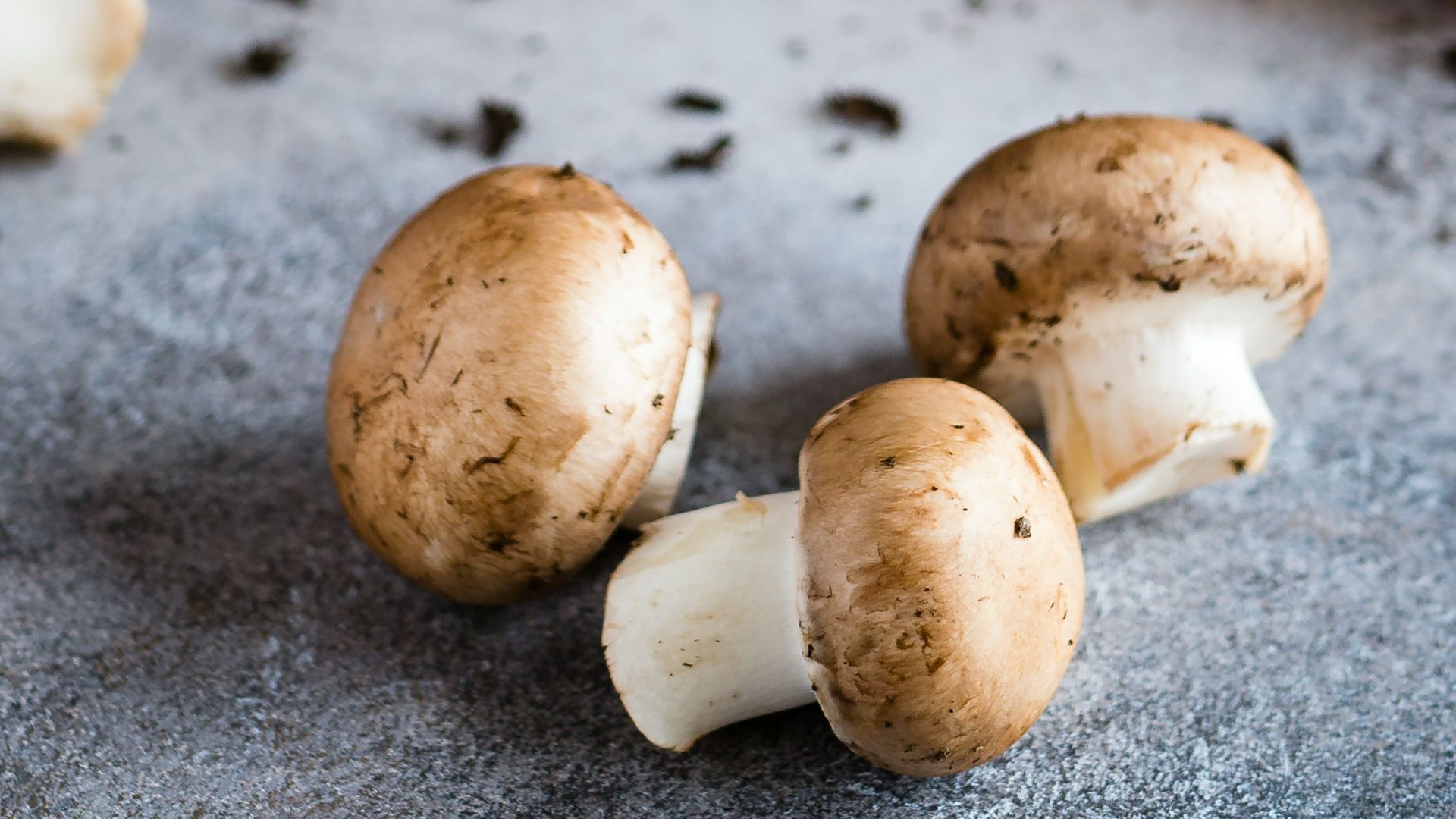 brown mushrooms on gray surface
