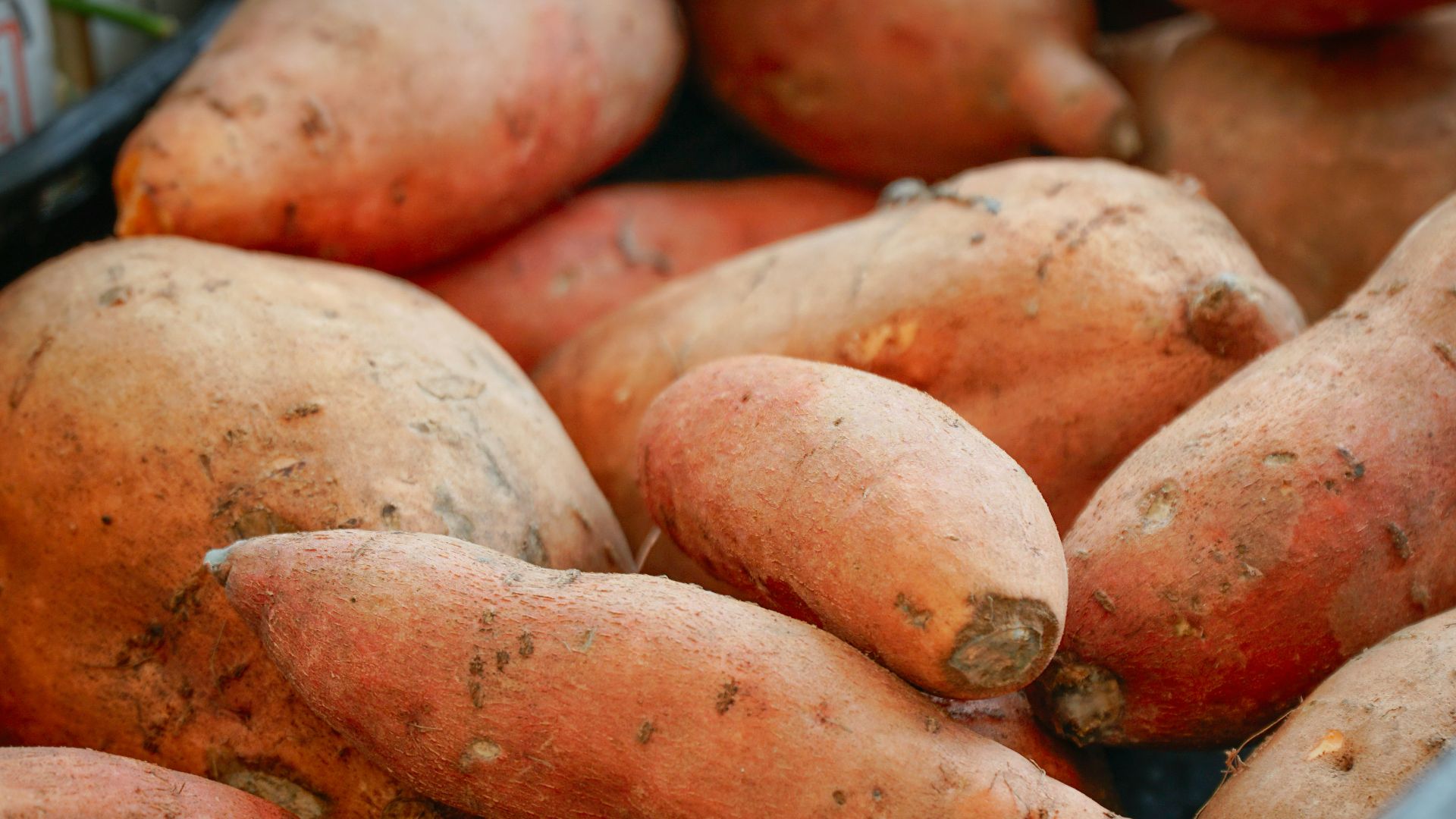 A pile of sweet potatoes in a basket.
