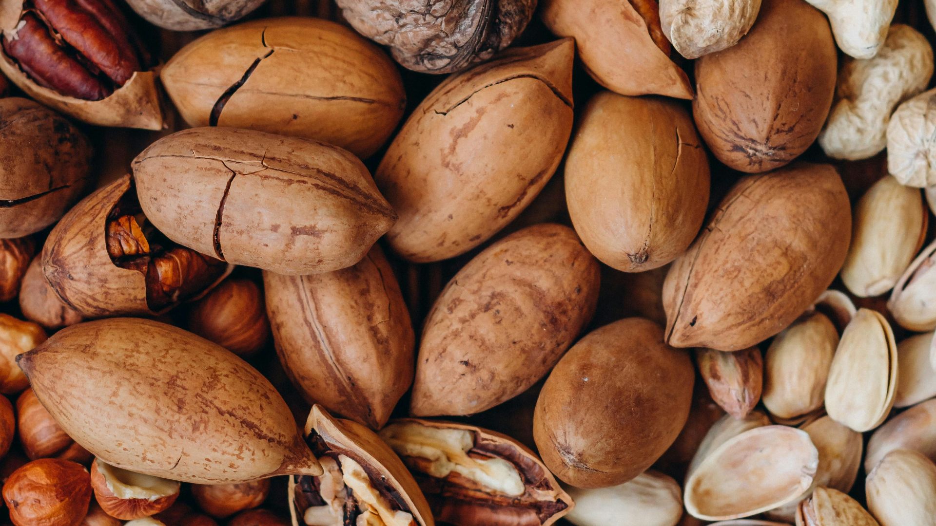 brown and beige nut lot