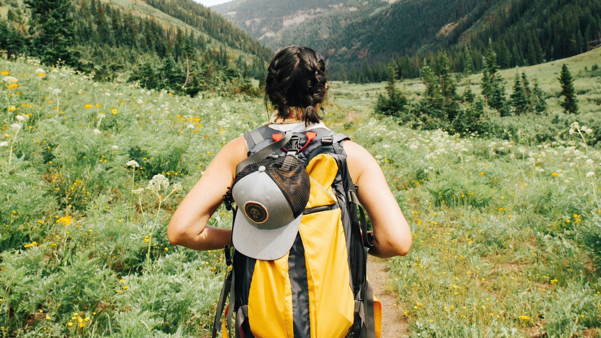 person carrying yellow and black backpack walking between green plants