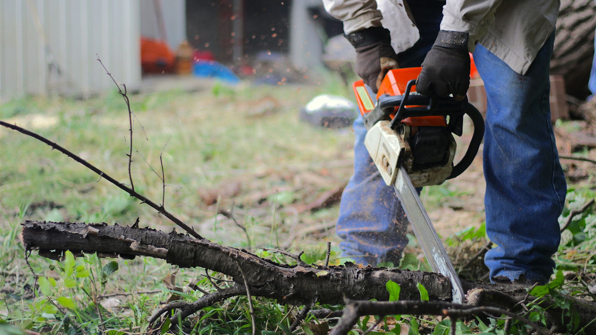 a man cutting a tree with a chainsaw